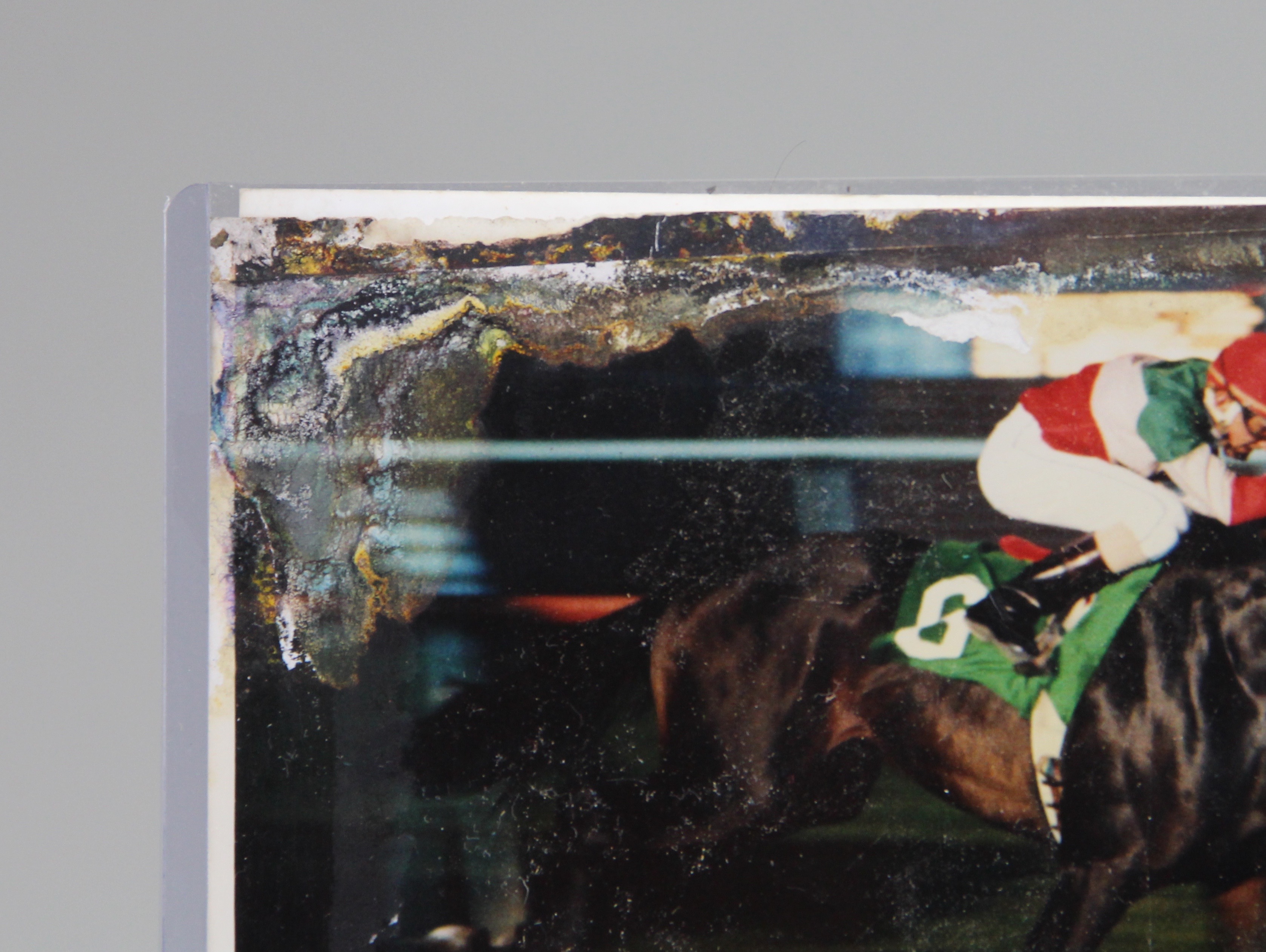 Cinema Breeder's Cup And Bel Air Handicap Winners Photographs