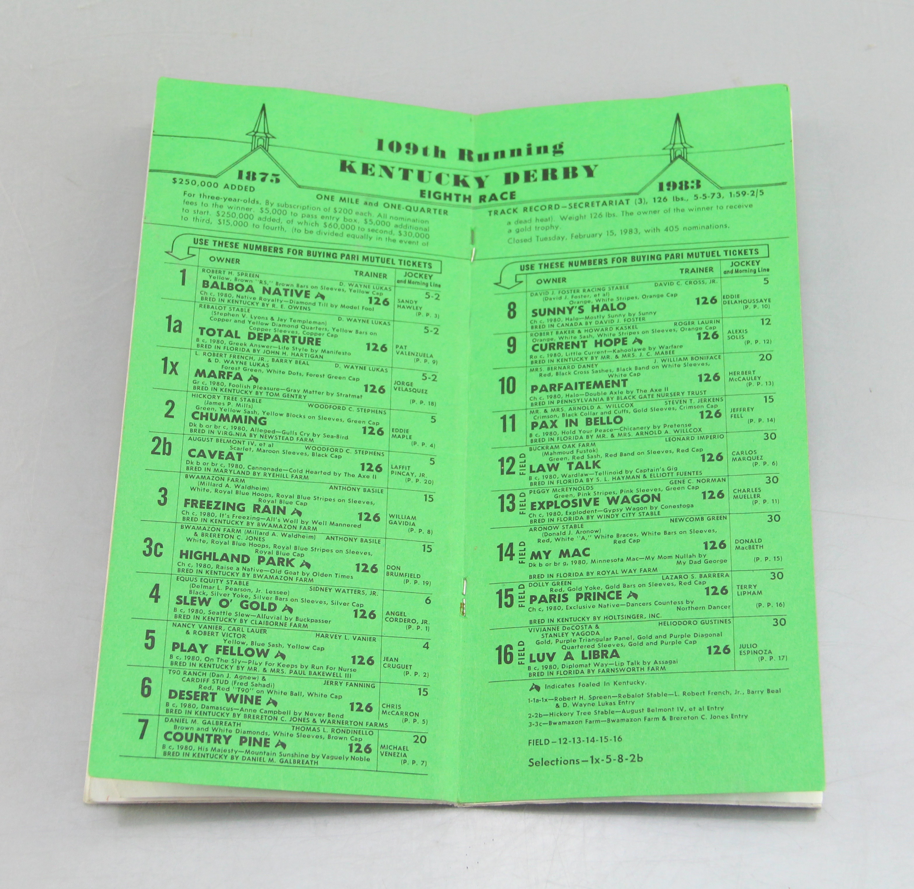 Vintage 1983 Kentucky Derby Program