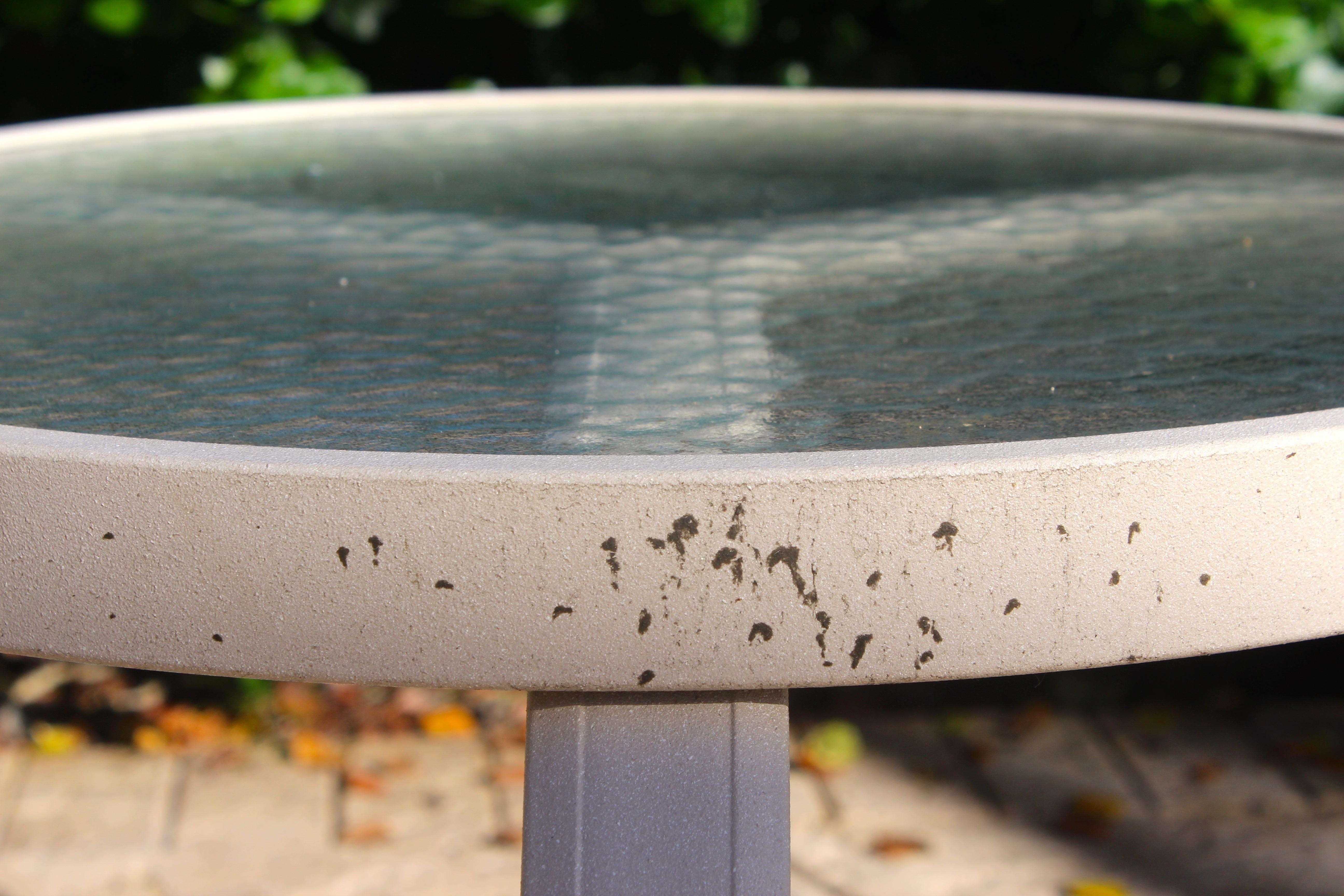 Chaise Lounge With Matching Side Table