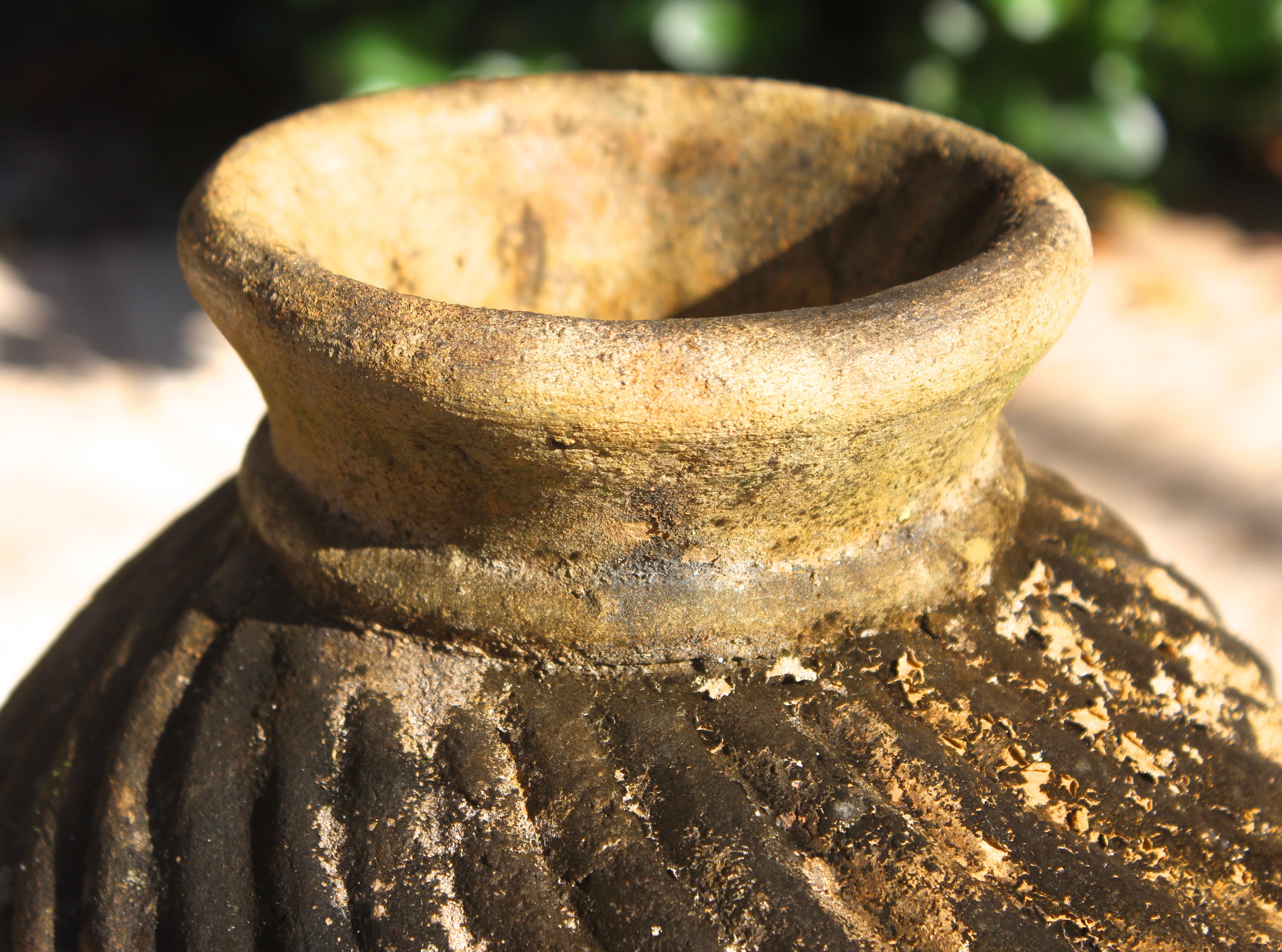 Iguana Statuette and Vase