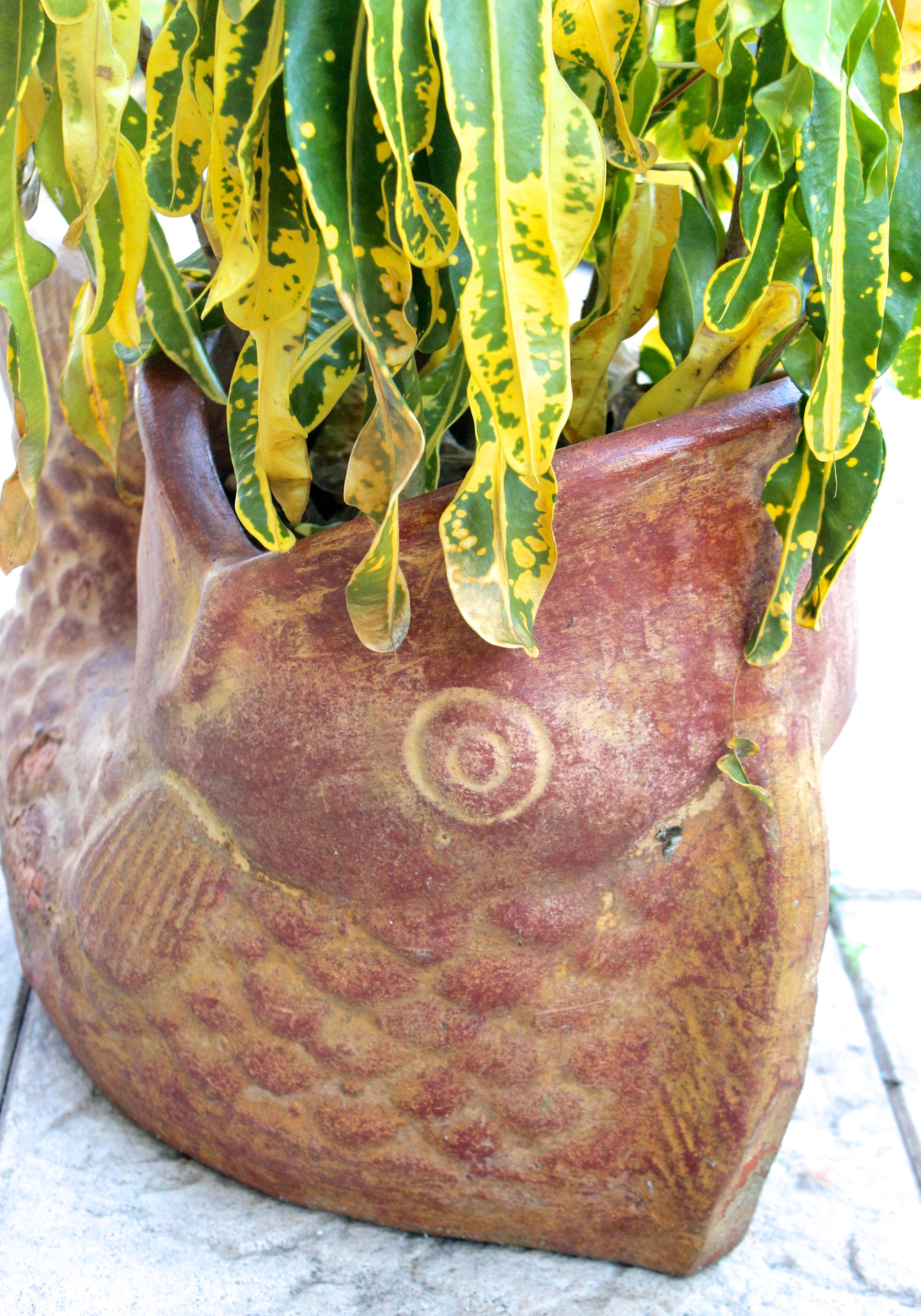 Assortment of Pots With Plants