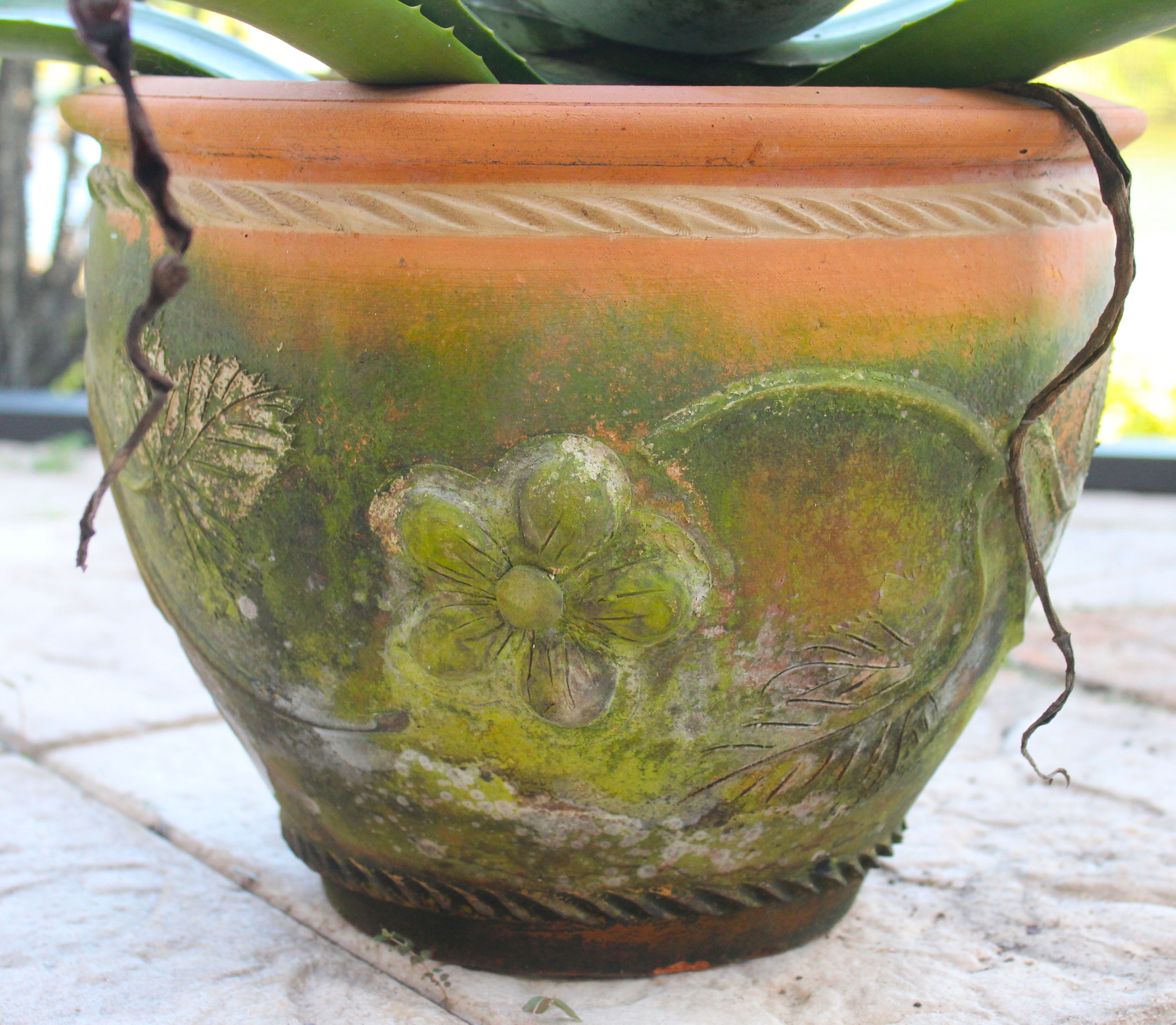 Assortment of Pots With Plants