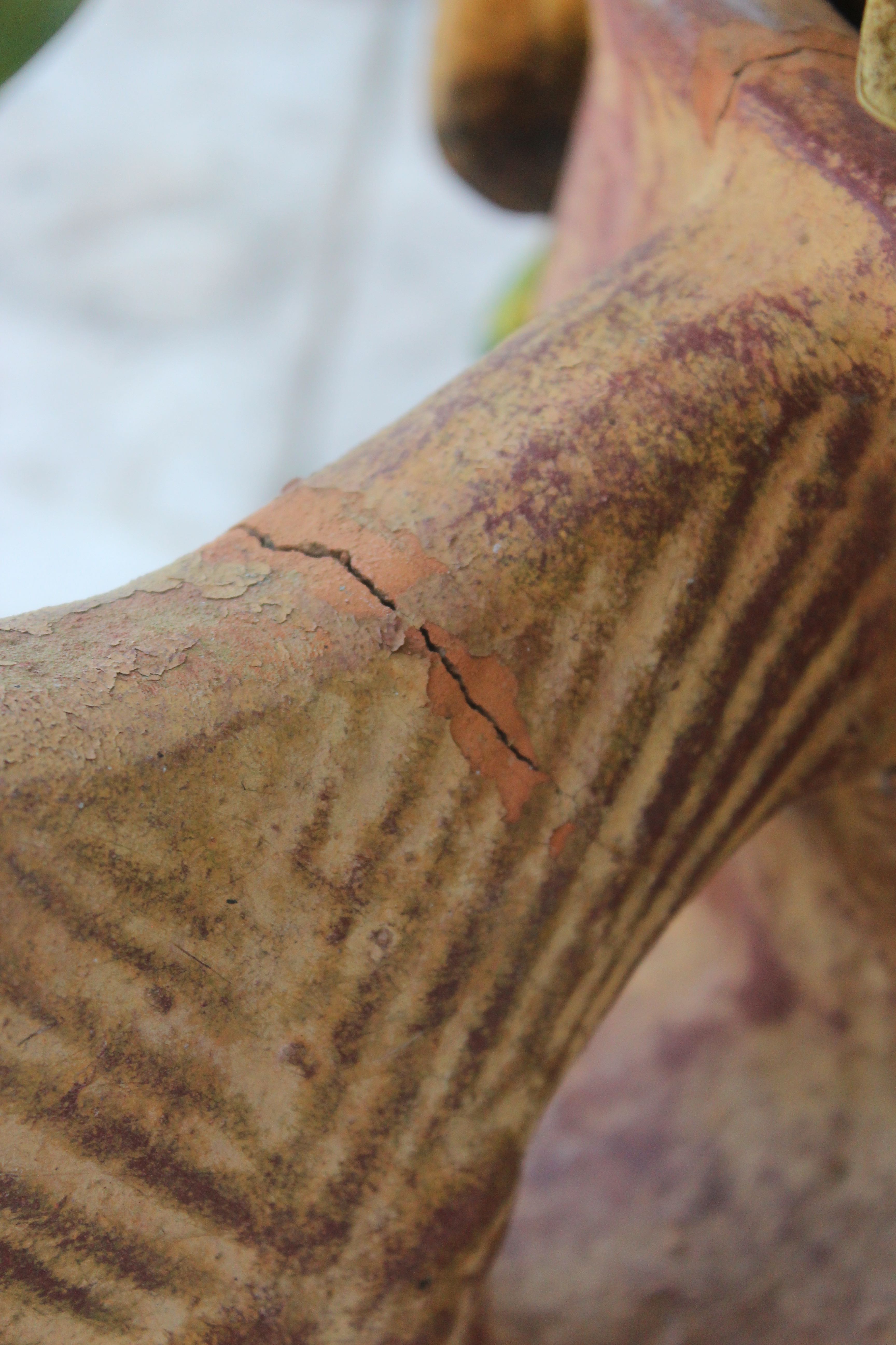 Assortment of Pots With Plants