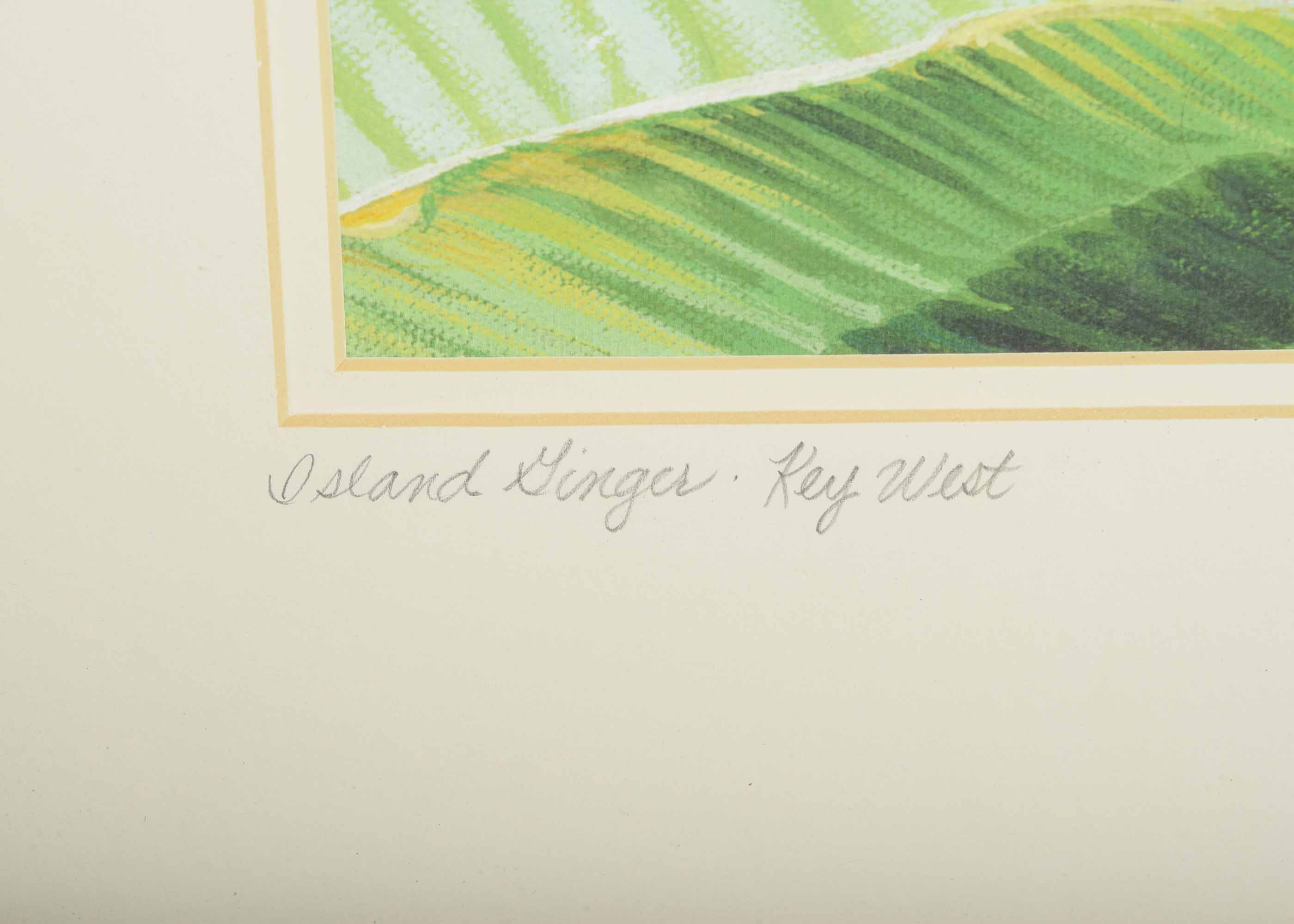 Signed Lynne Fischer Limited Edition "Island Ginger-Key West"