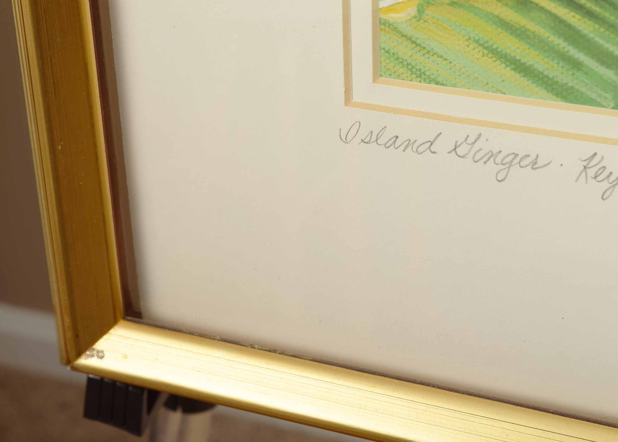 Signed Lynne Fischer Limited Edition "Island Ginger-Key West"