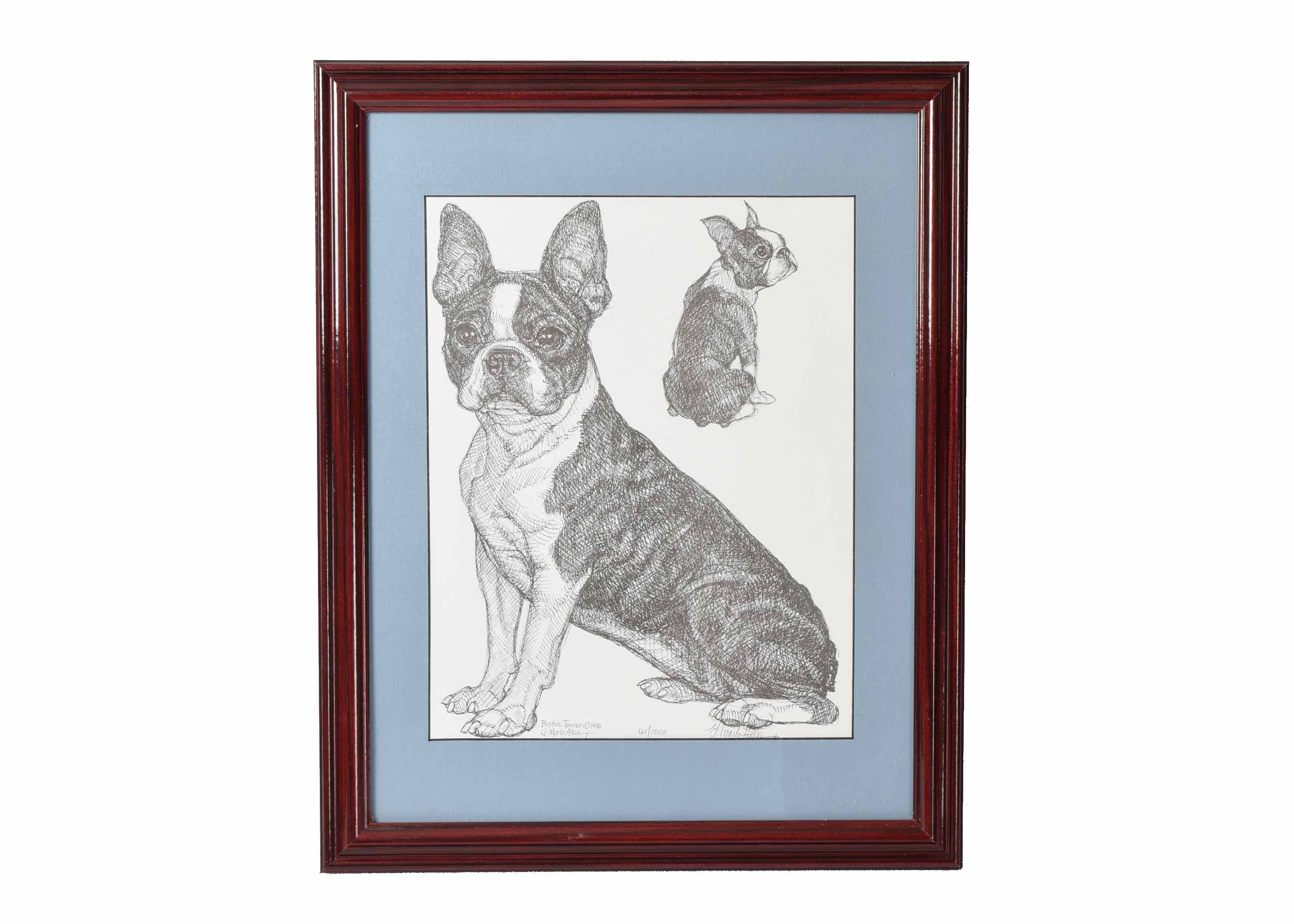 G. Marlo Allen Limited Edition Pen & Ink "Boston Terrier"