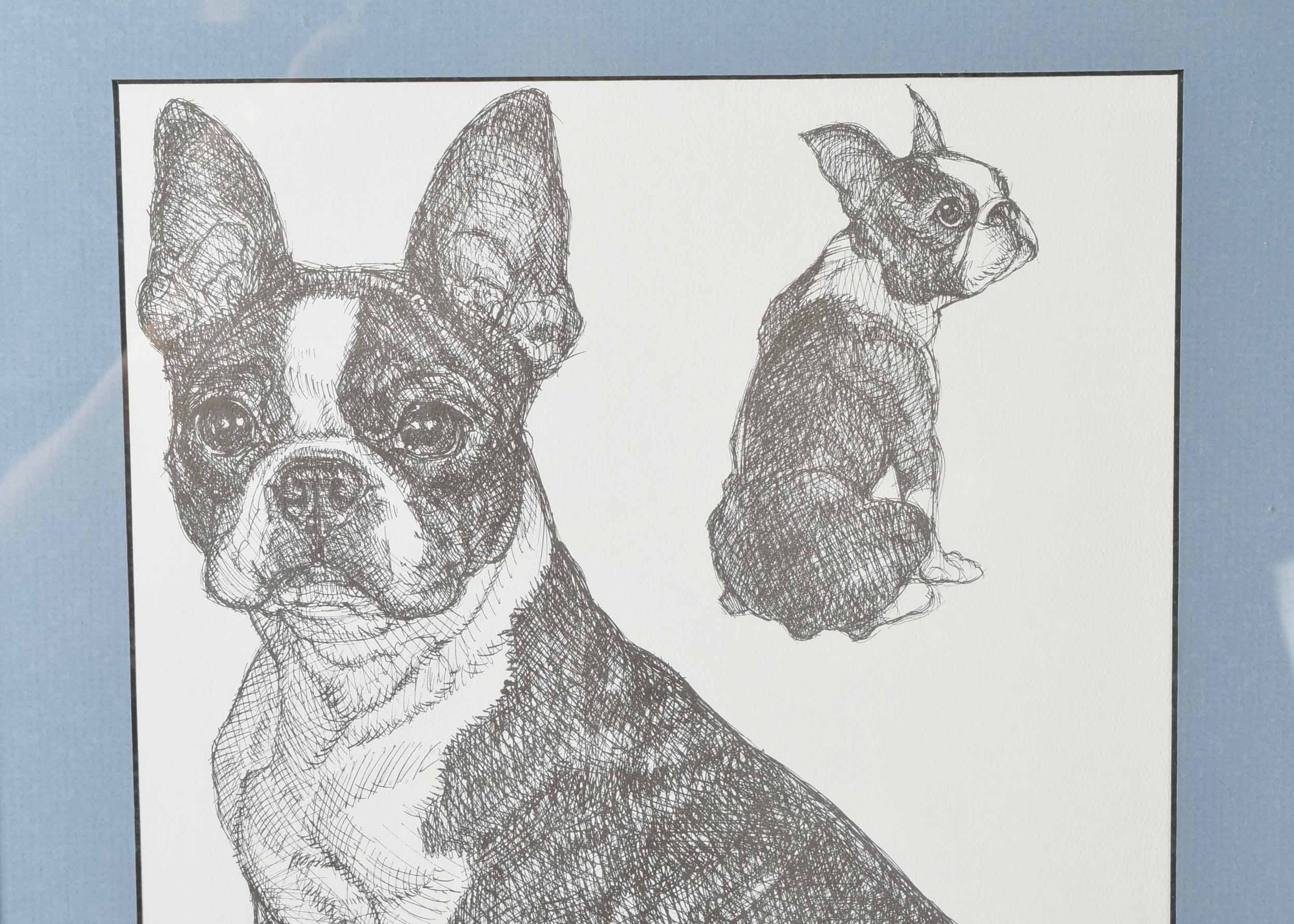 G. Marlo Allen Limited Edition Pen & Ink "Boston Terrier"