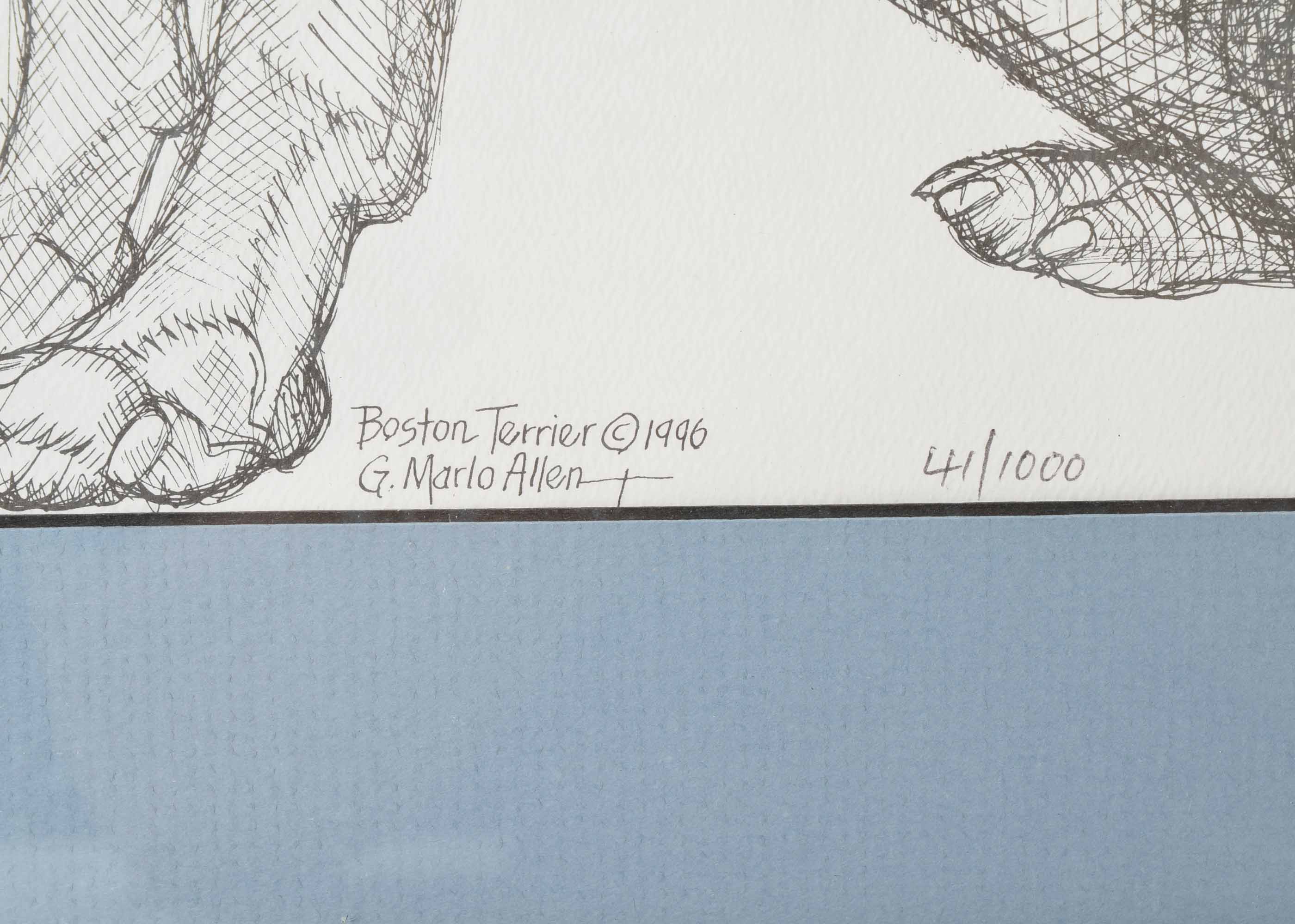 G. Marlo Allen Limited Edition Pen & Ink "Boston Terrier"