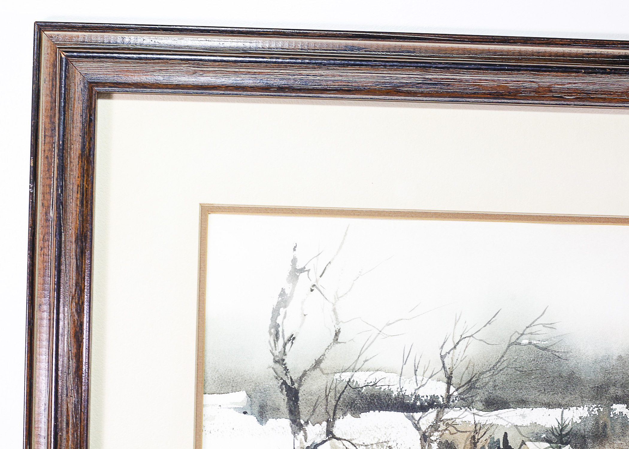 Watercolor by Joe Toledo