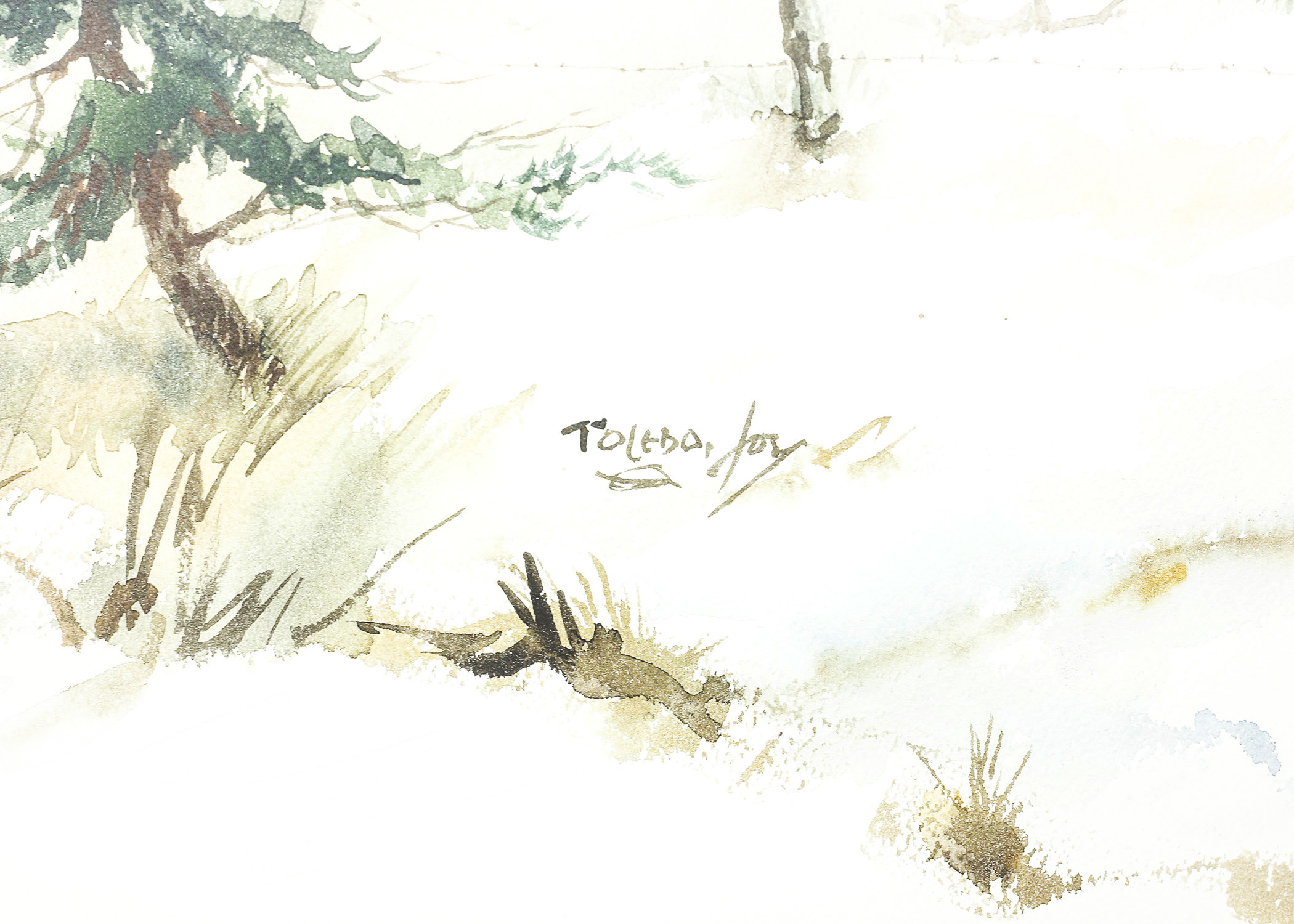 Watercolor by Joe Toledo