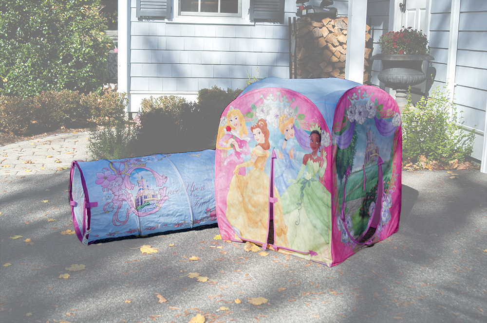 Disney Princess Playhut