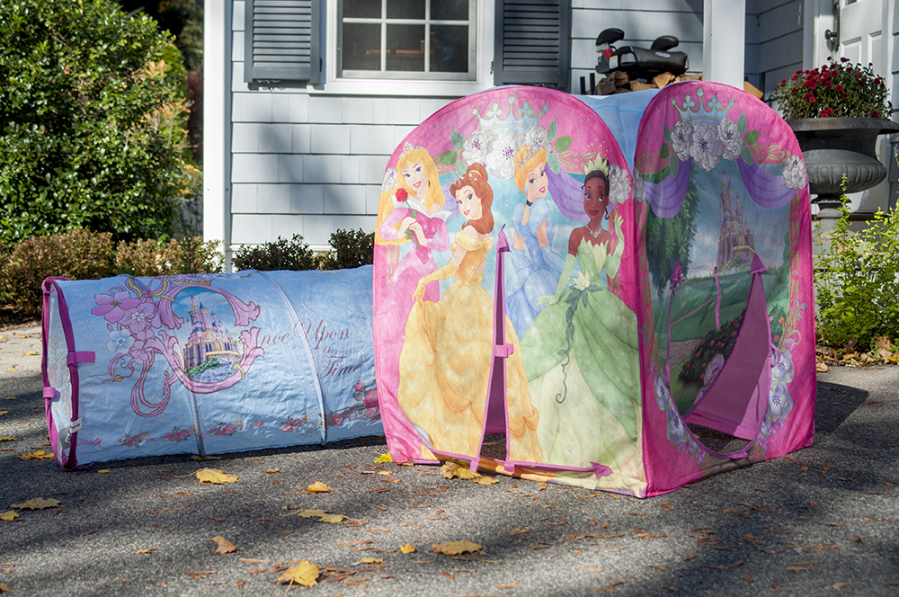 Disney Princess Playhut