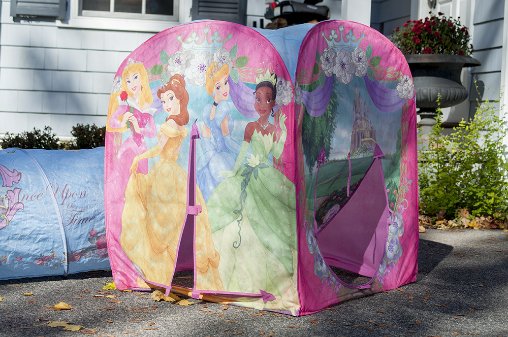Disney Princess Playhut