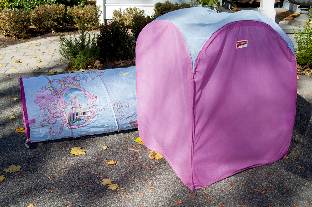 Disney Princess Playhut