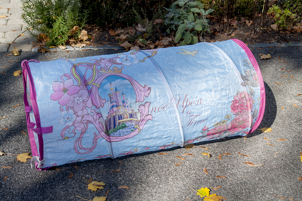 Disney Princess Playhut