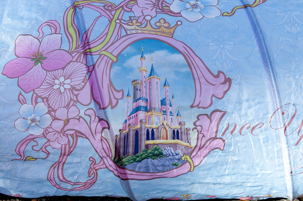 Disney Princess Playhut