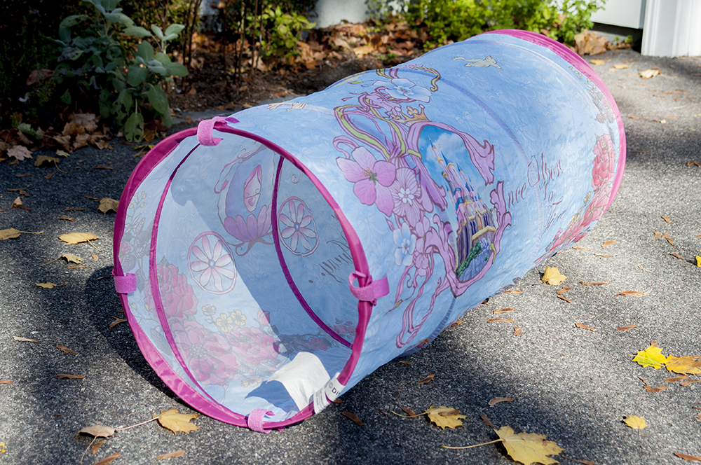 Disney Princess Playhut