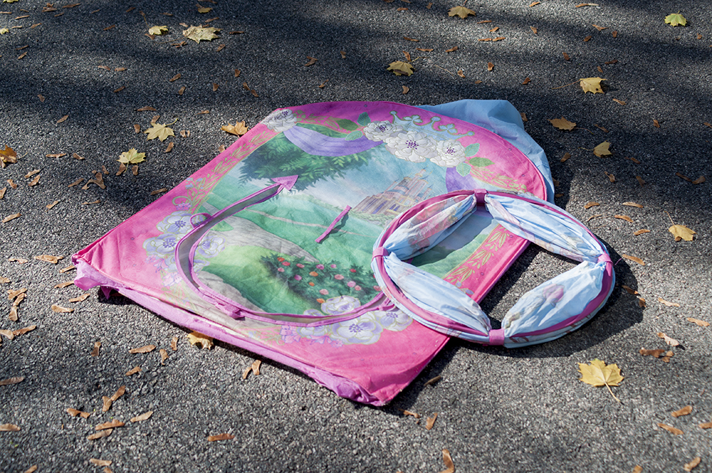 Disney Princess Playhut