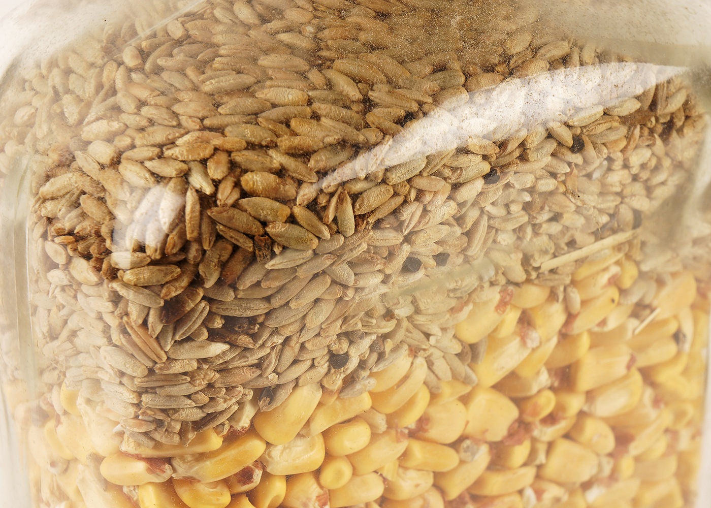 Master Distiller Signed Knob Creek Bottle