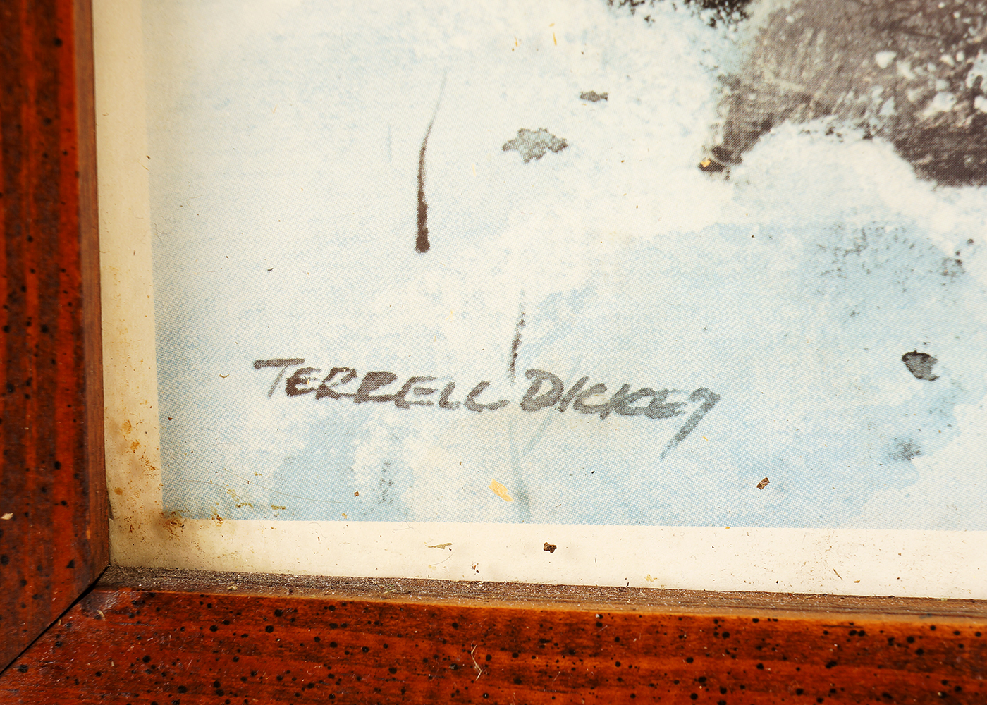 Signed Terrell Dickey Framed Print