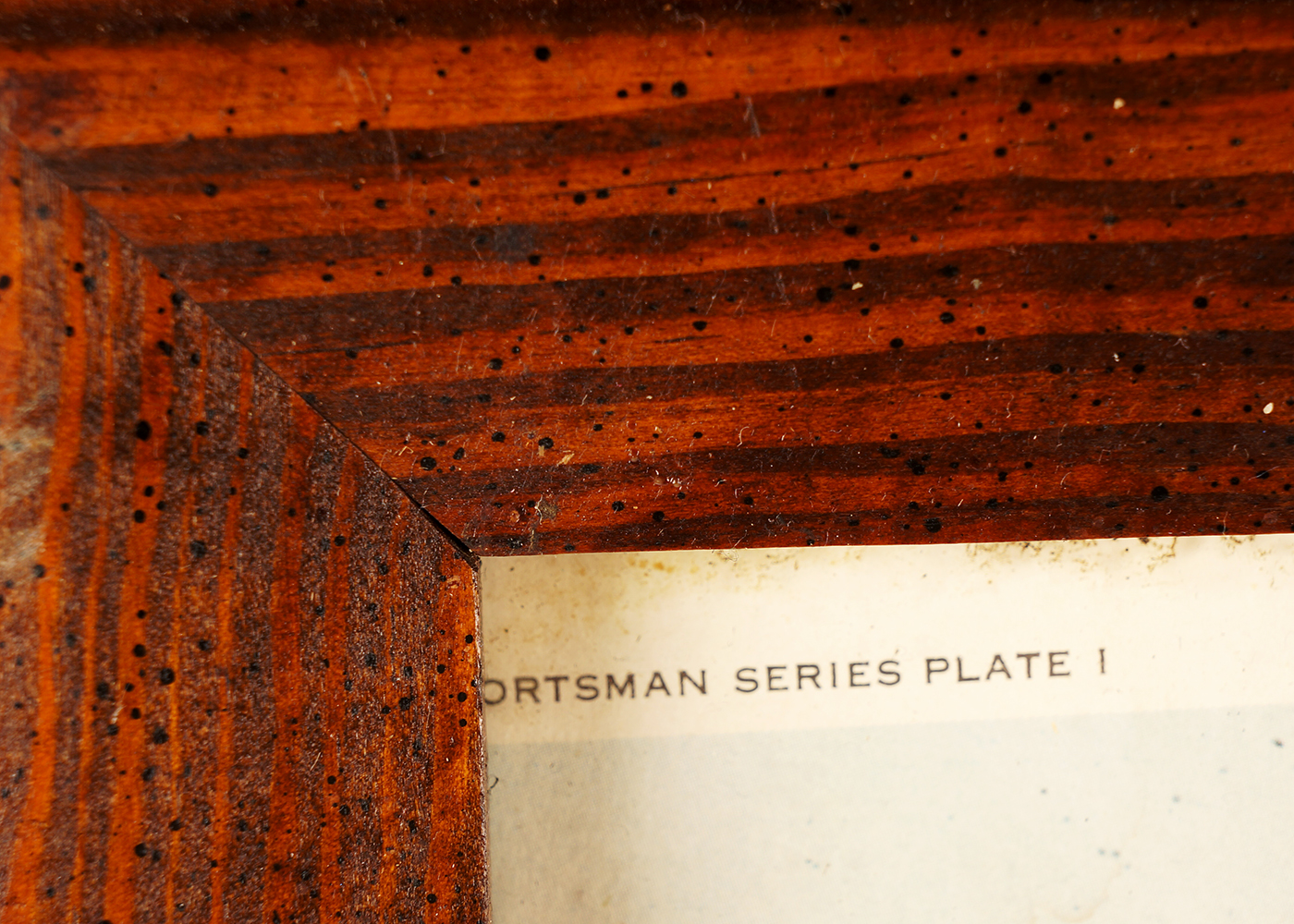 Signed Terrell Dickey Framed Print