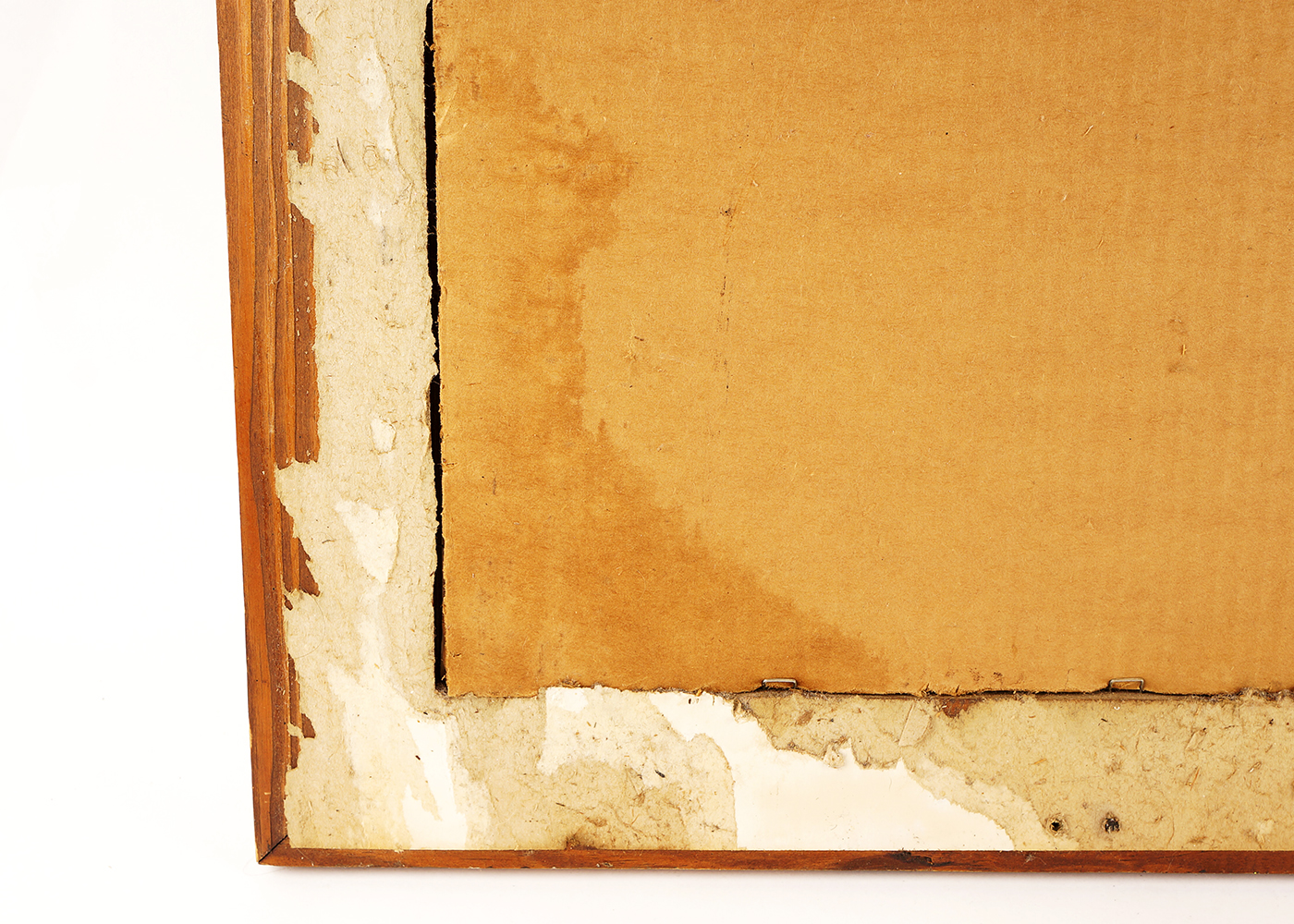 Signed Terrell Dickey Framed Print