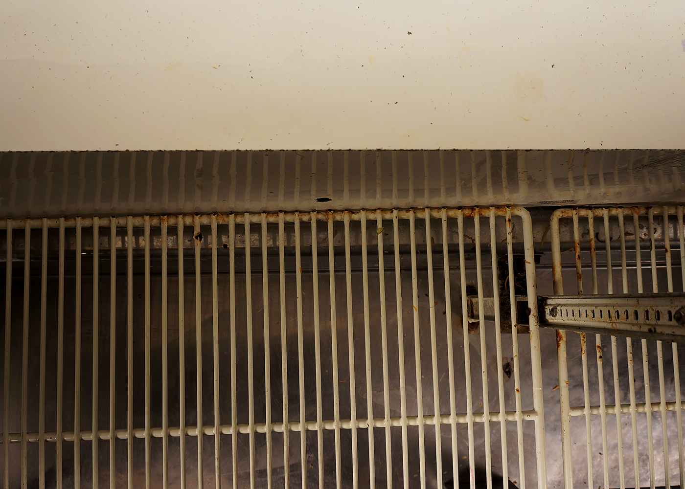 True Two-Door Commercial Prep Refrigerator