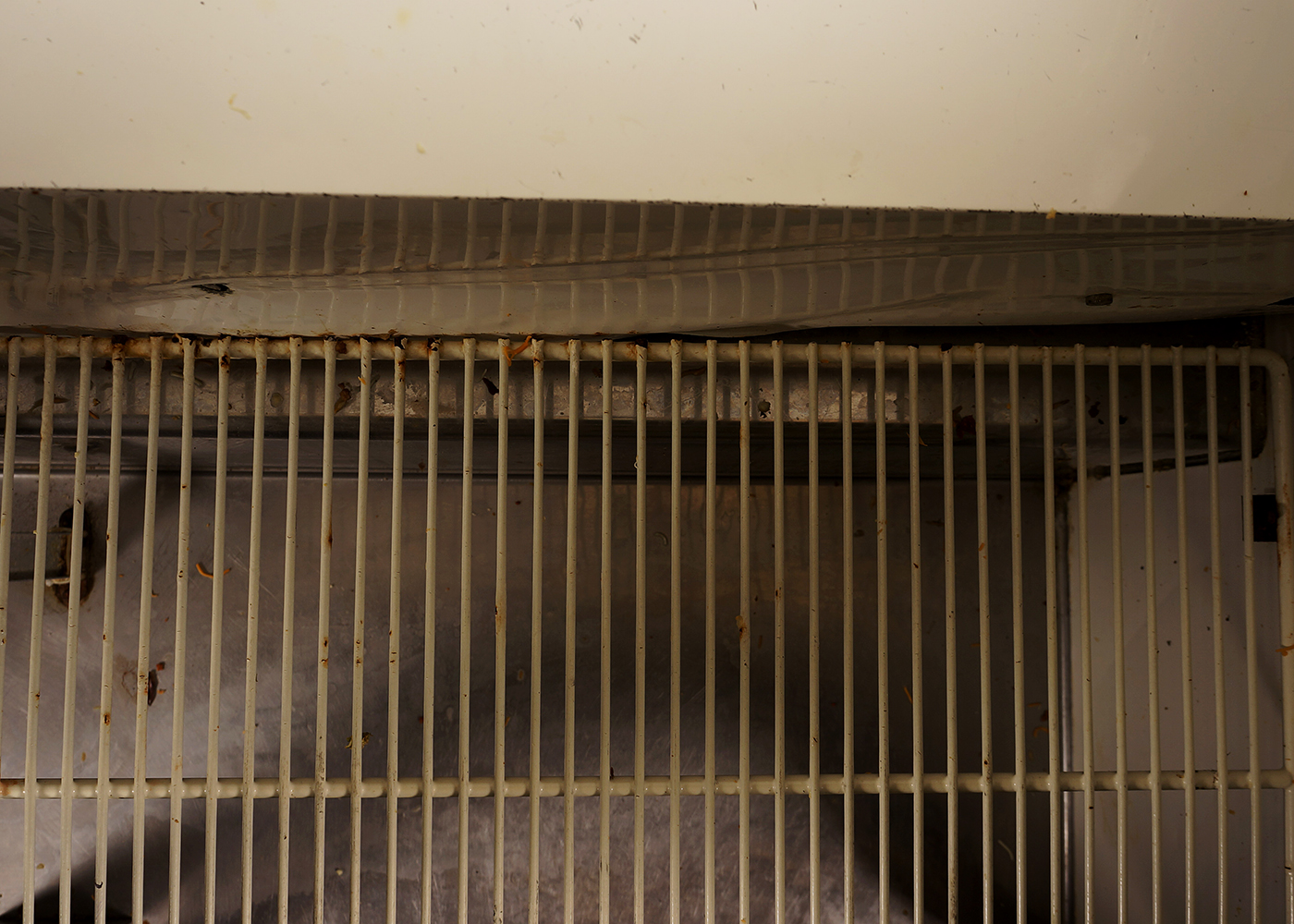 True Two-Door Commercial Prep Refrigerator