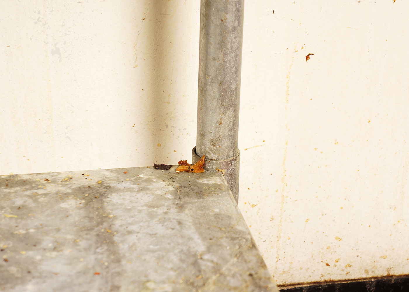 36 Inch Commercial Work Table