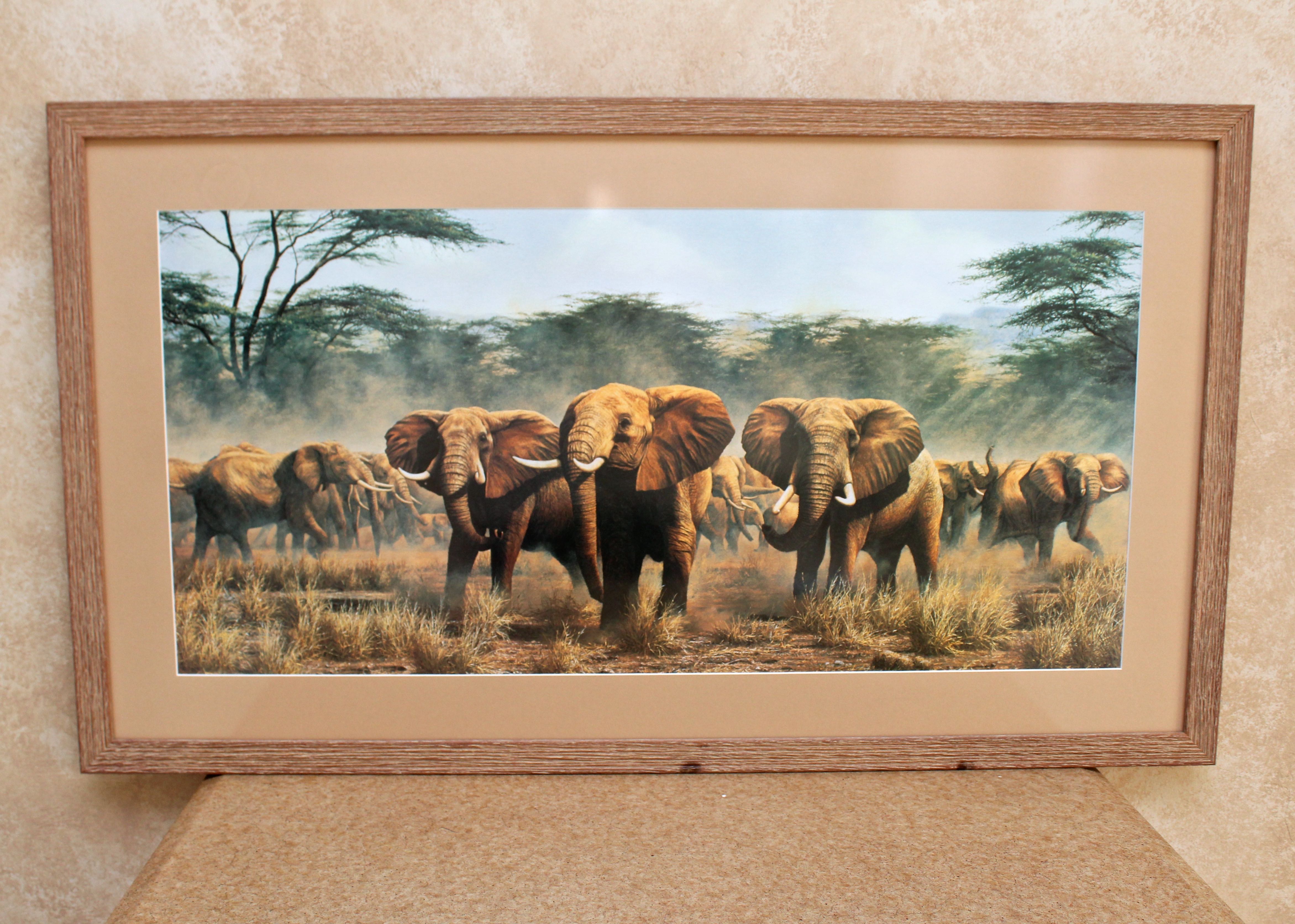 Framed Elephant Print
