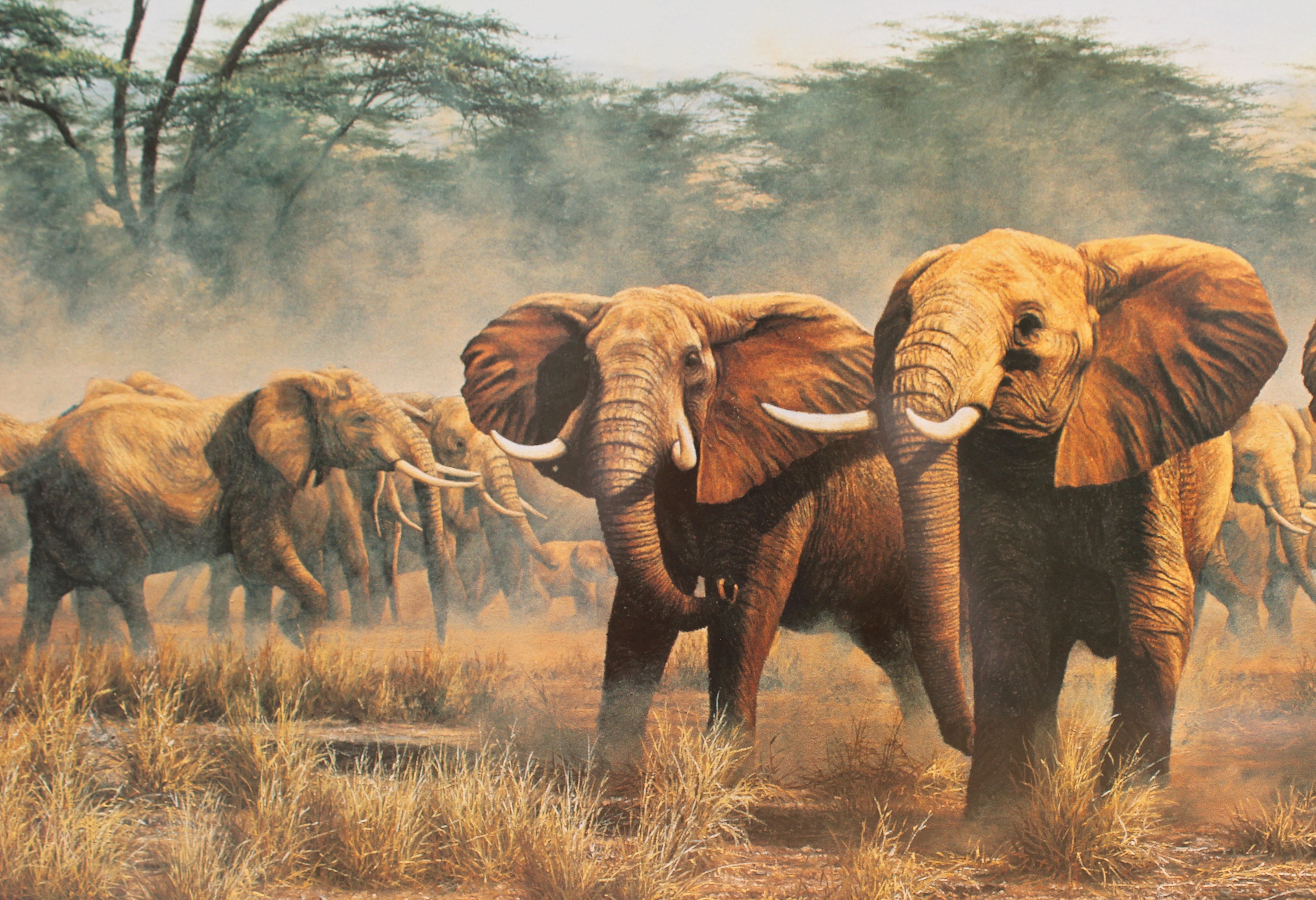 Framed Elephant Print