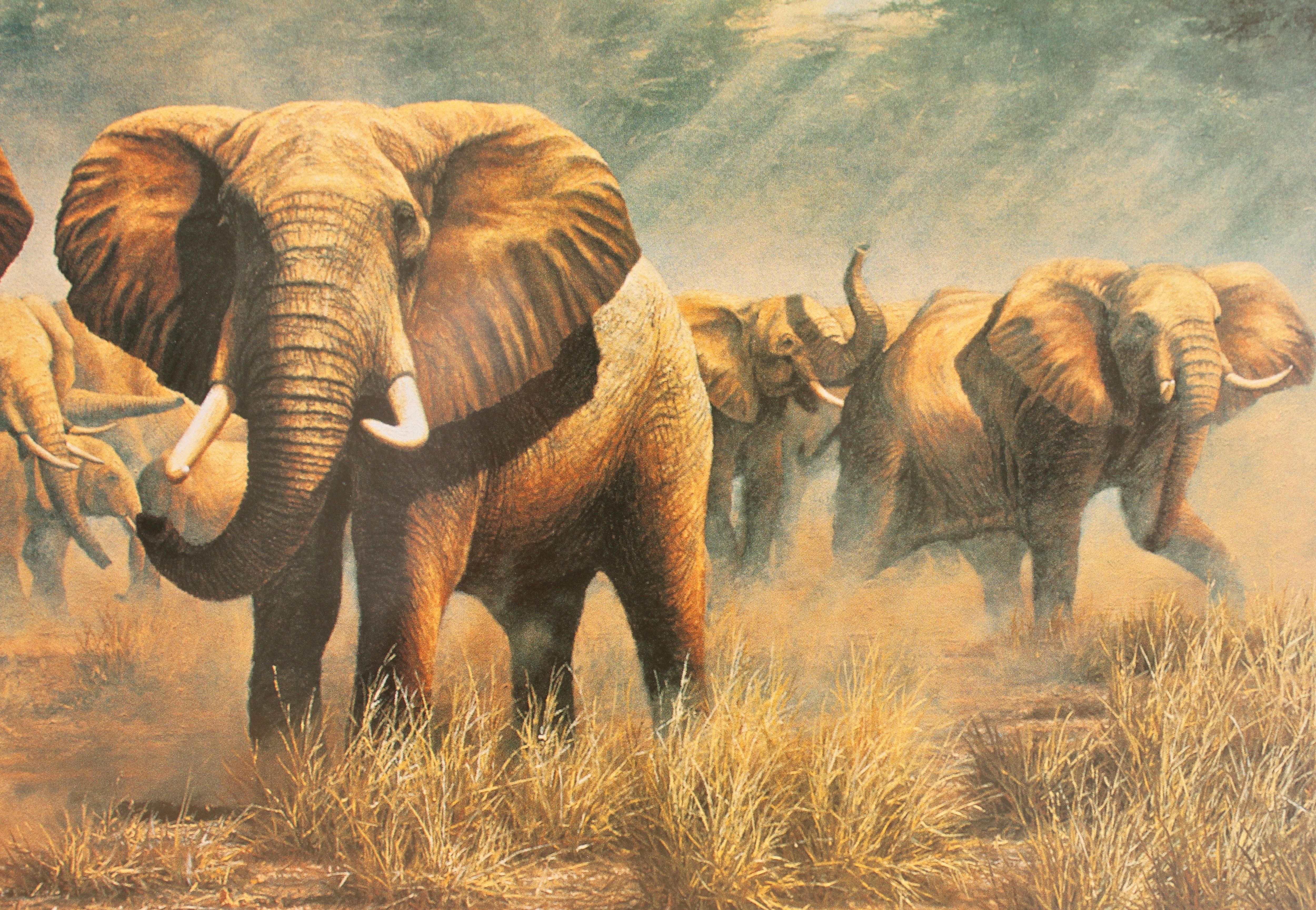 Framed Elephant Print