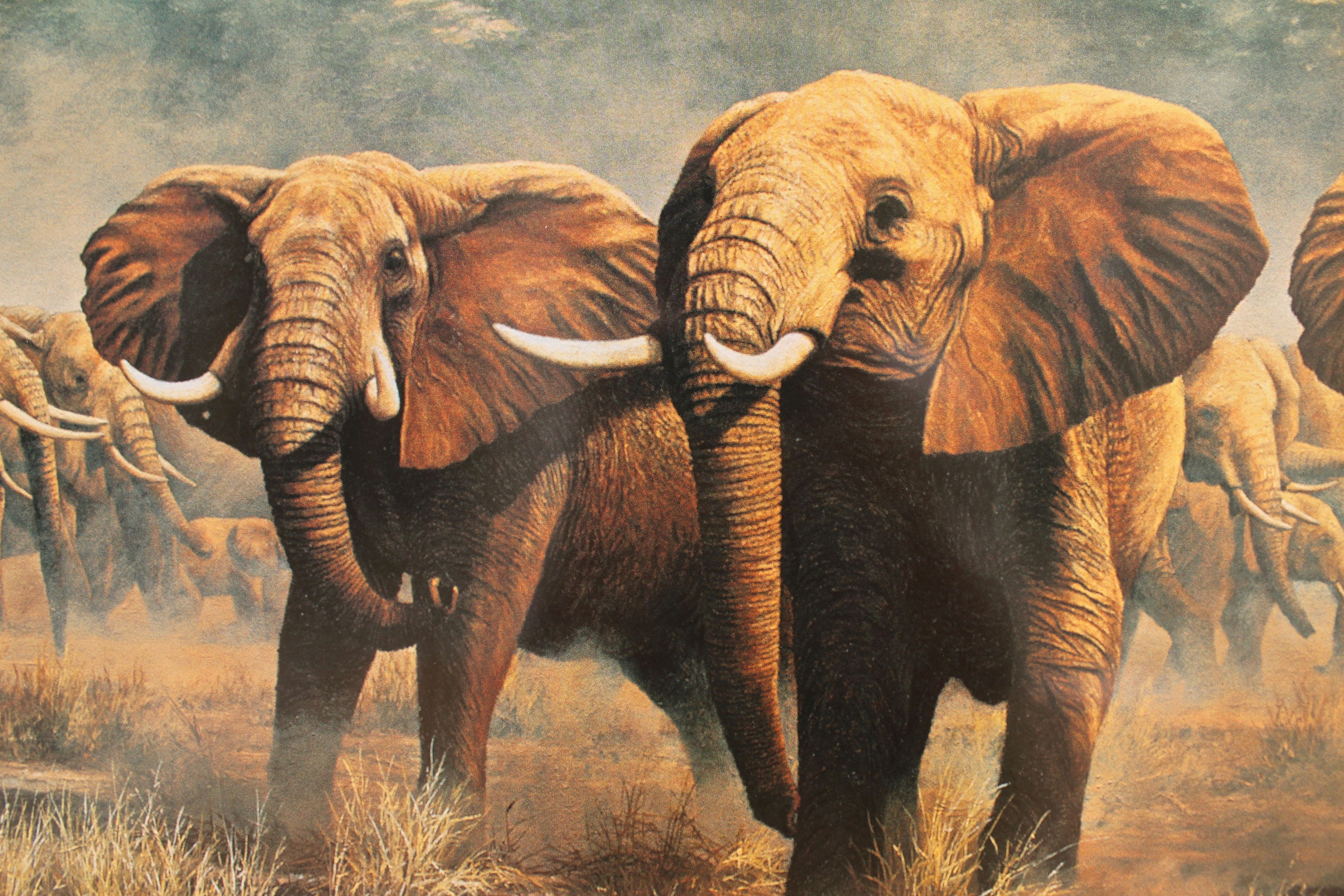 Framed Elephant Print