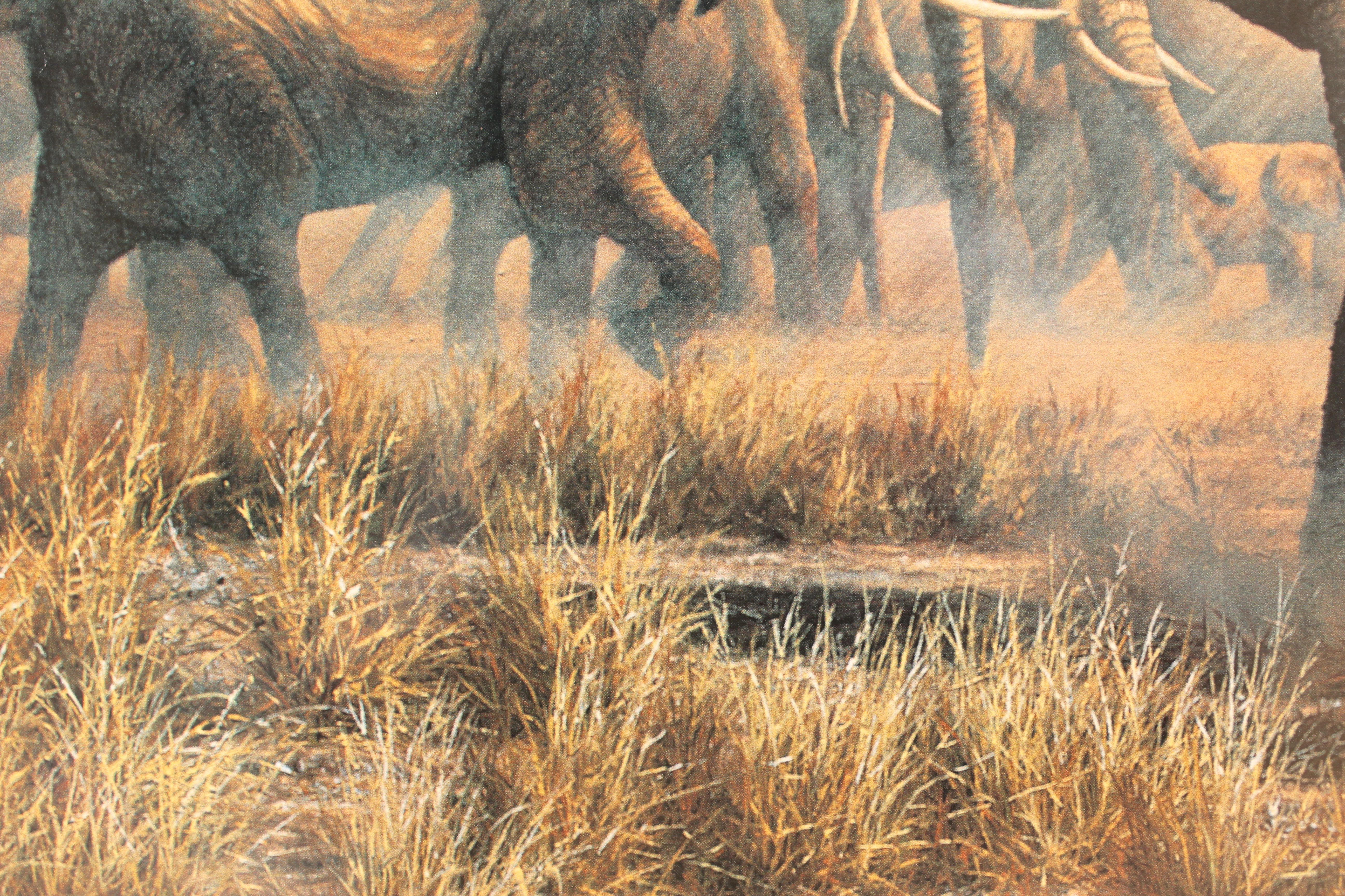 Framed Elephant Print