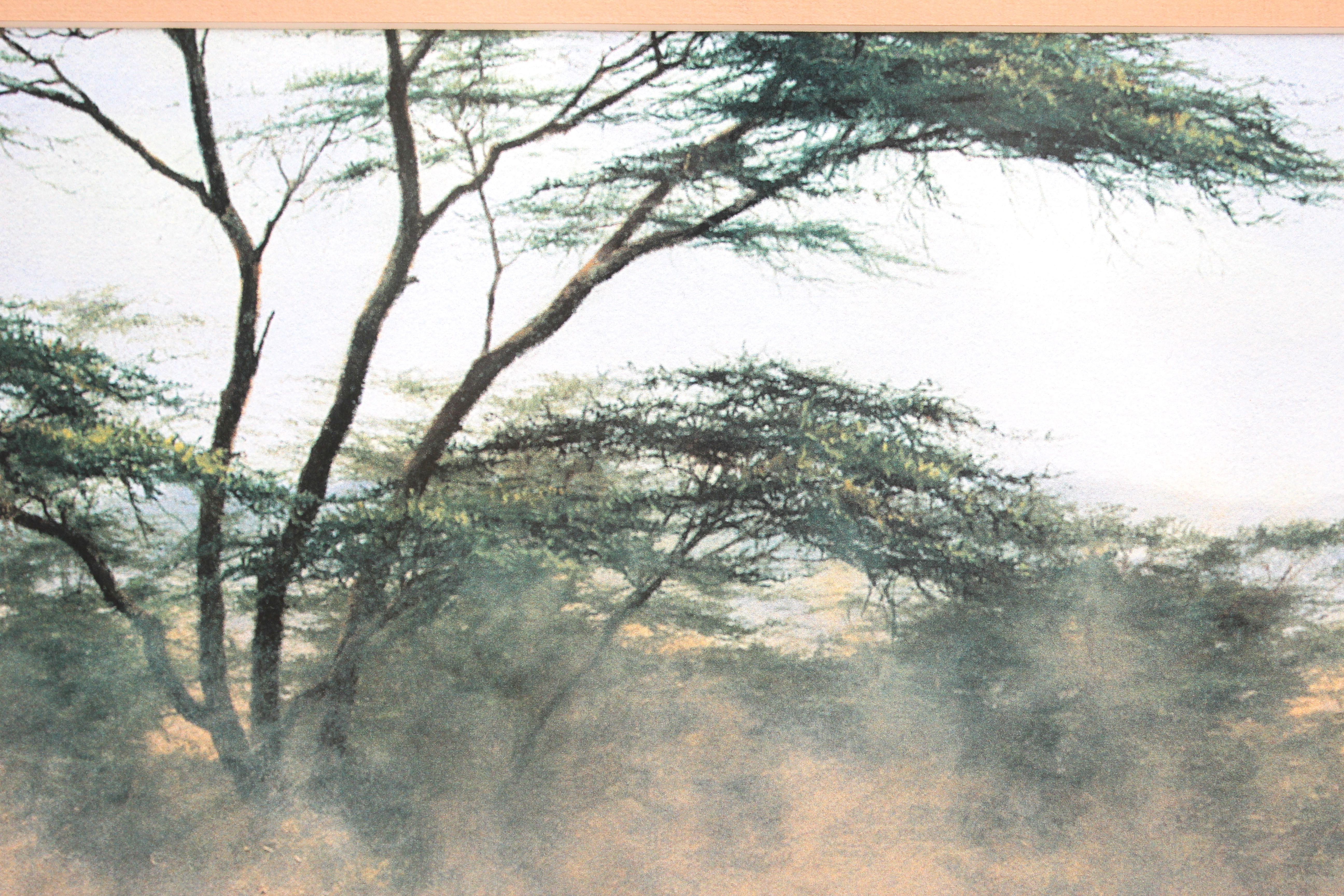 Framed Elephant Print