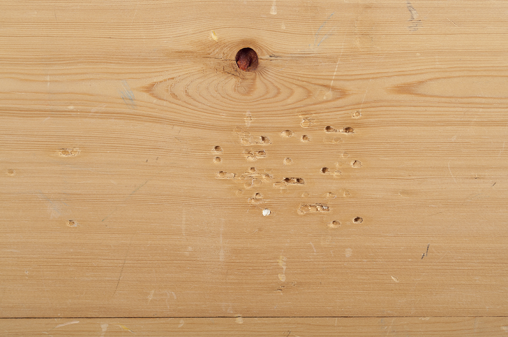 Small Pine Blanket Chest