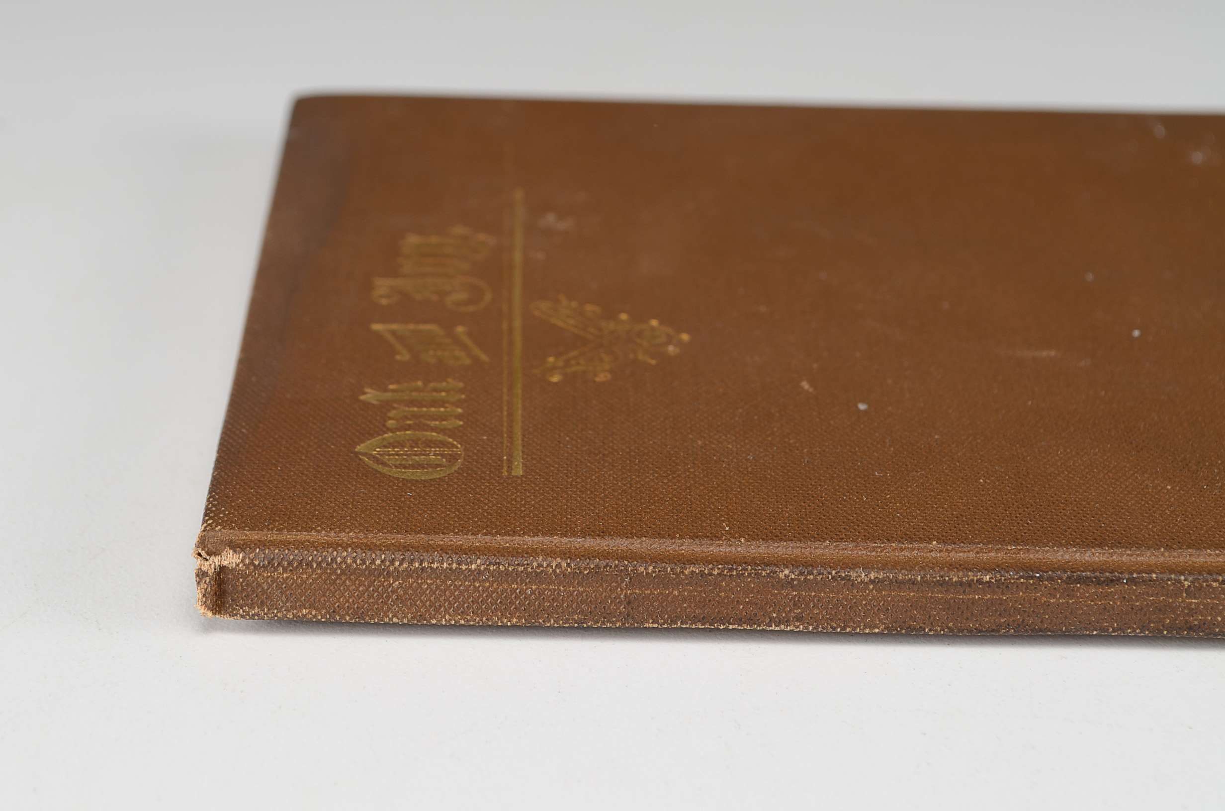 1893 First Edition "Oak and Ivy" by Paul Laurence Dunbar