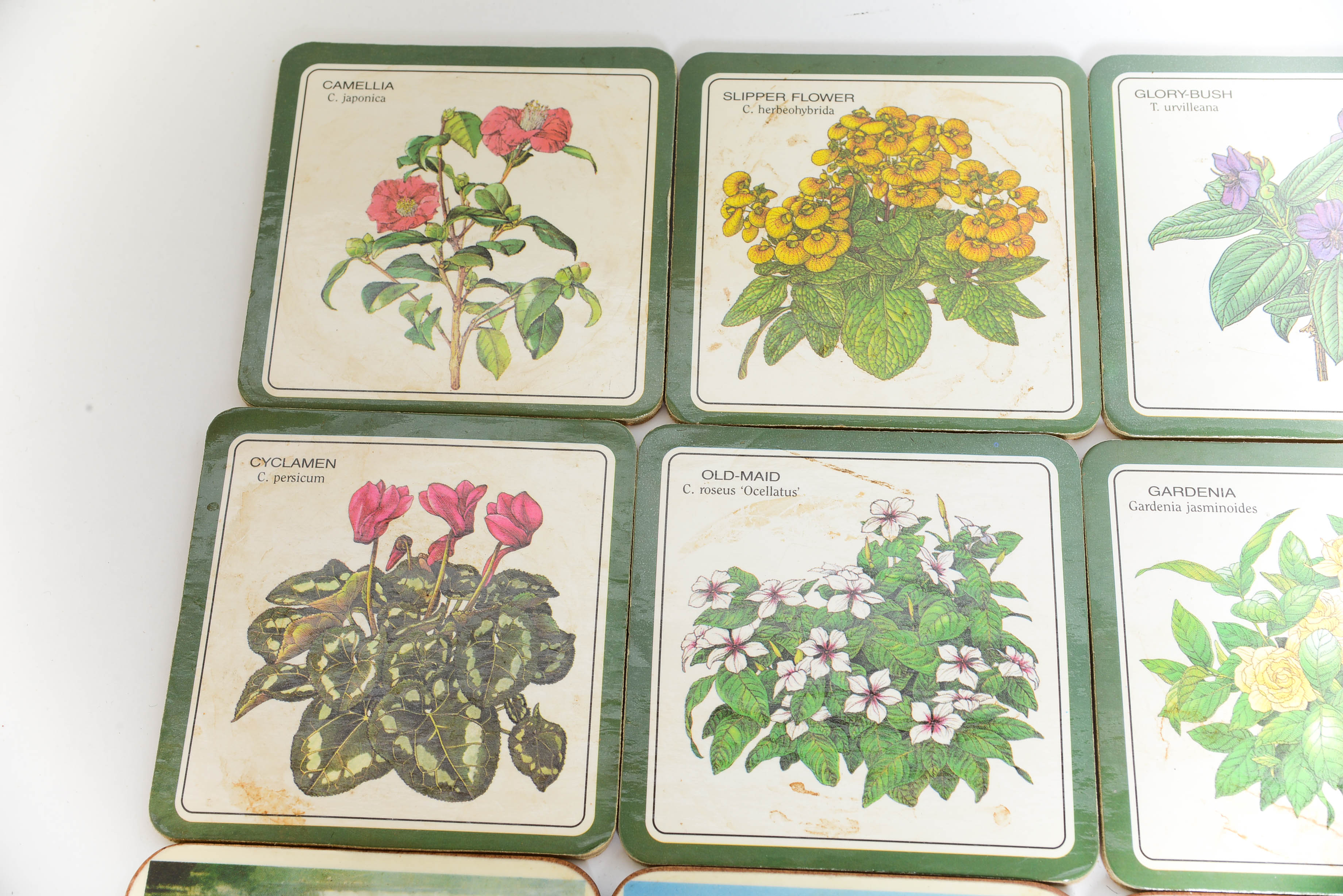 Collection of Vintage Coasters