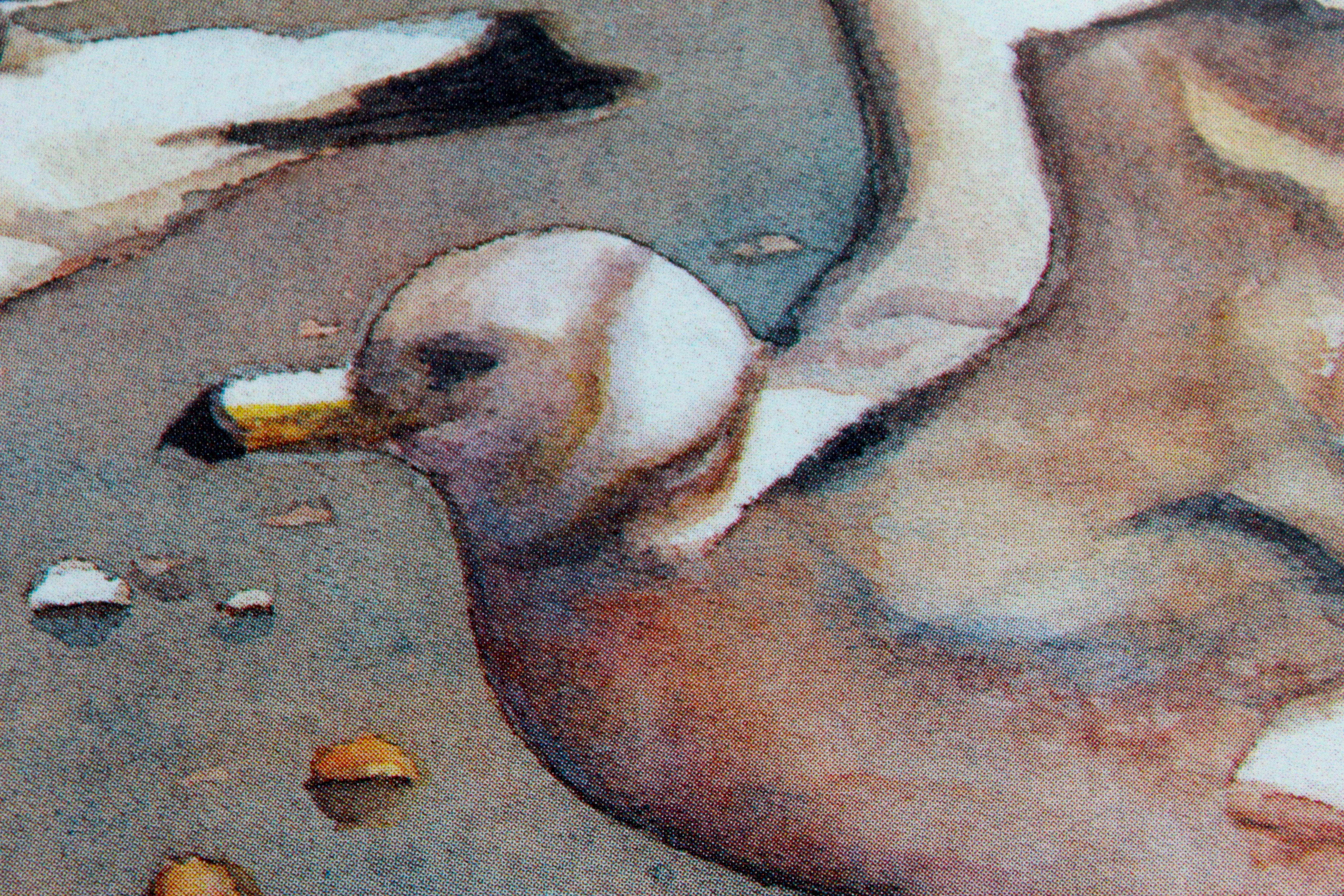 Limited Edition Signed Offset Lithograph "The Landing"