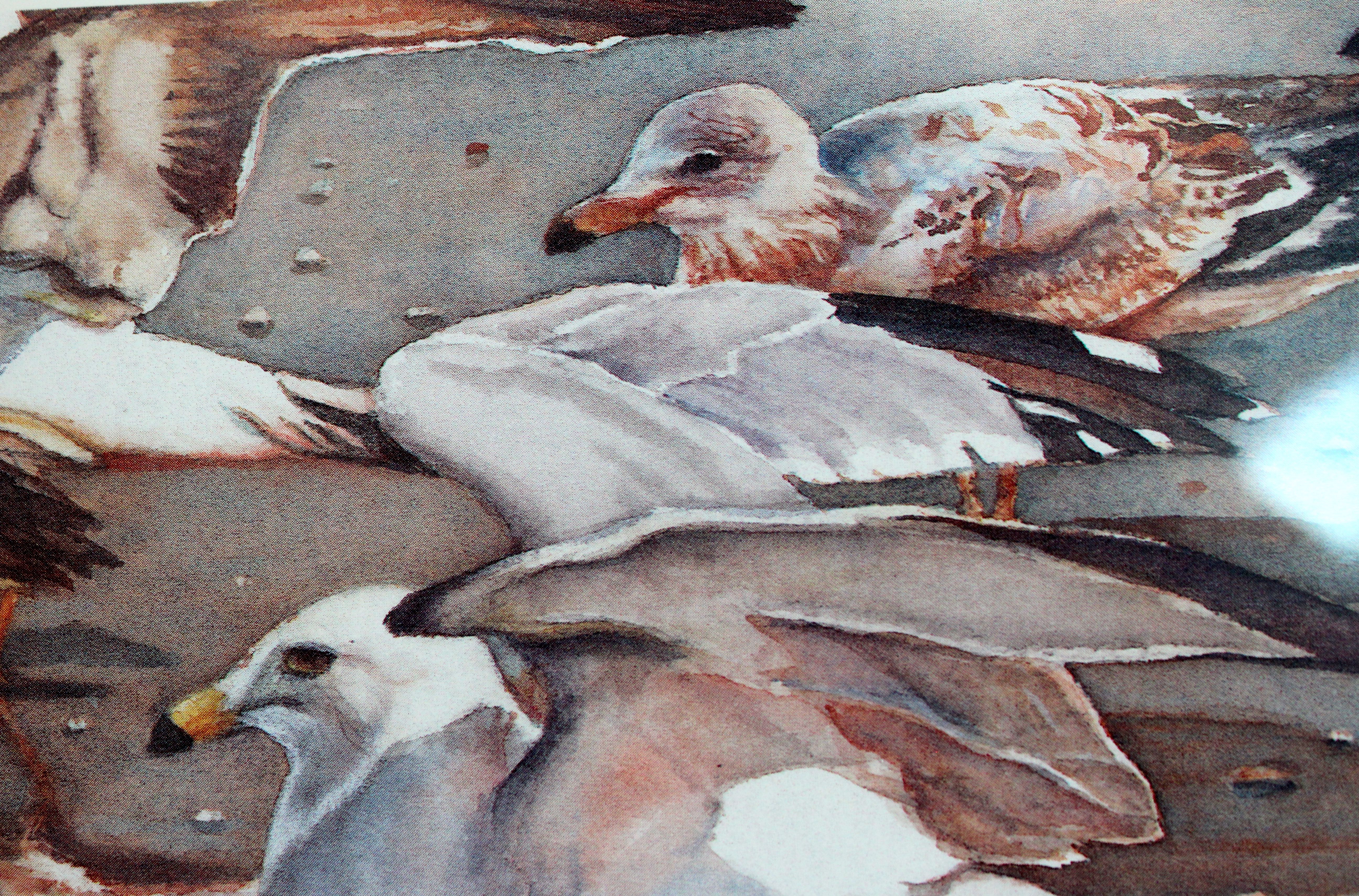 Limited Edition Signed Offset Lithograph "The Landing"