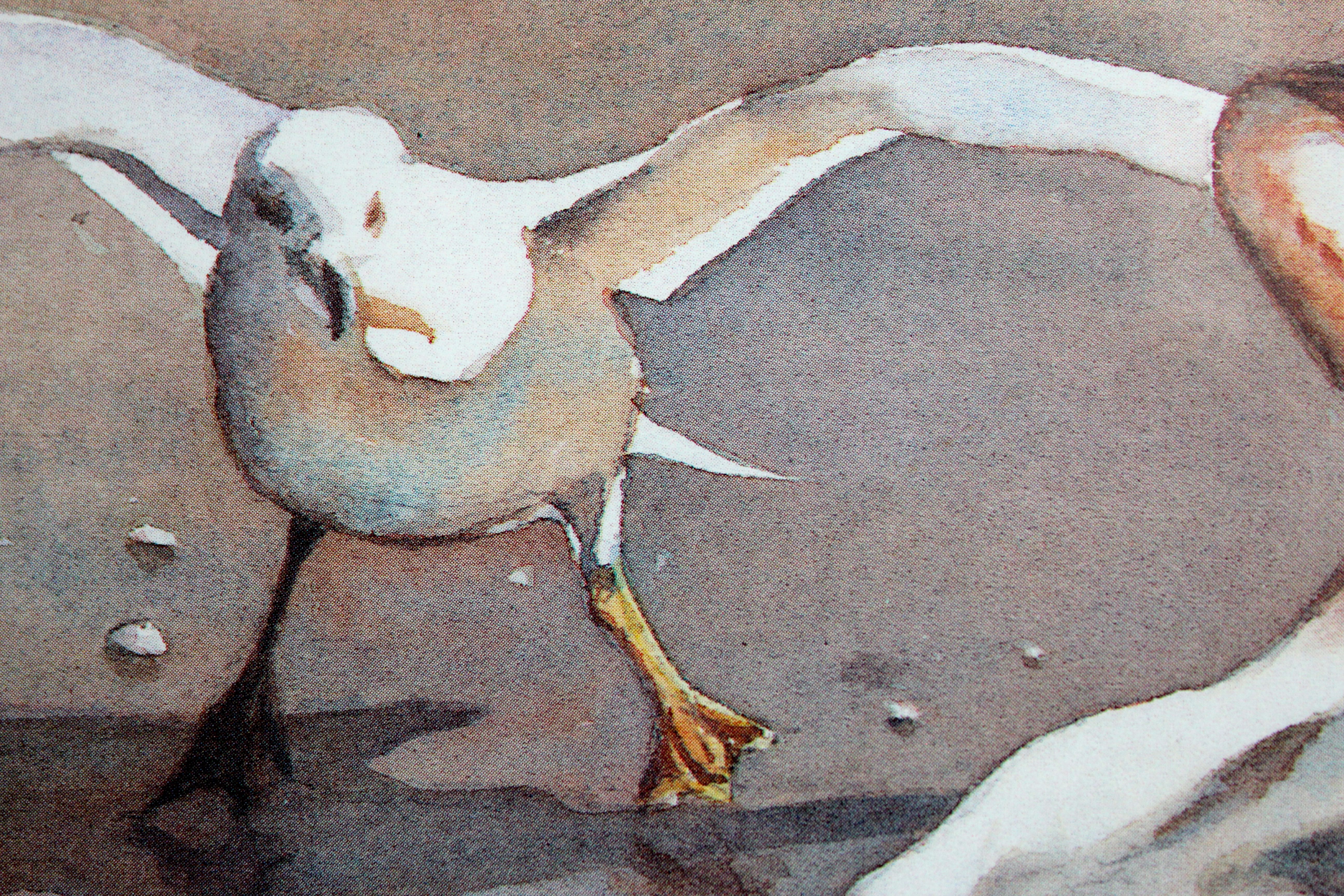 Limited Edition Signed Offset Lithograph "The Landing"