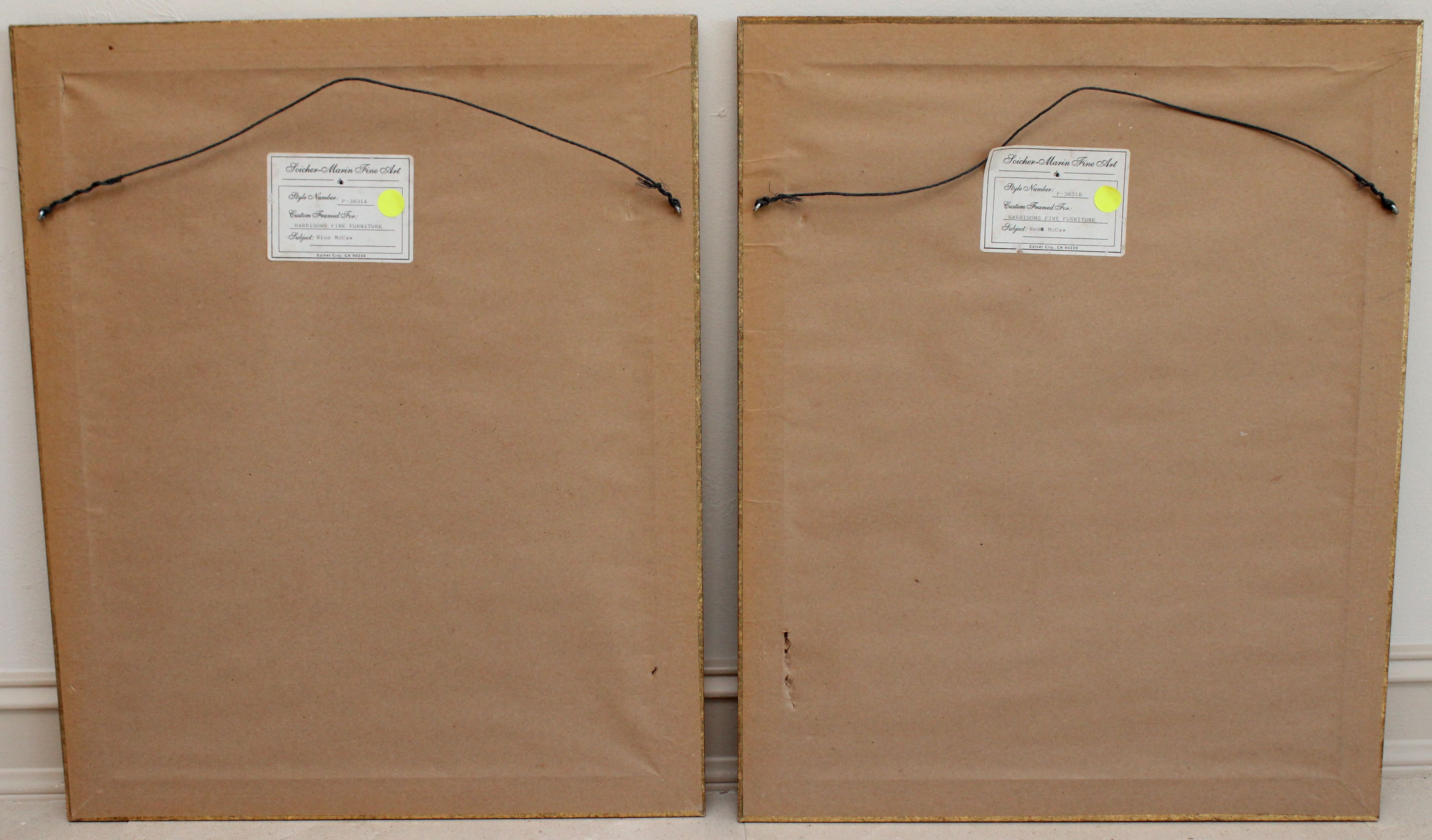 Pair of Framed Parrot Prints