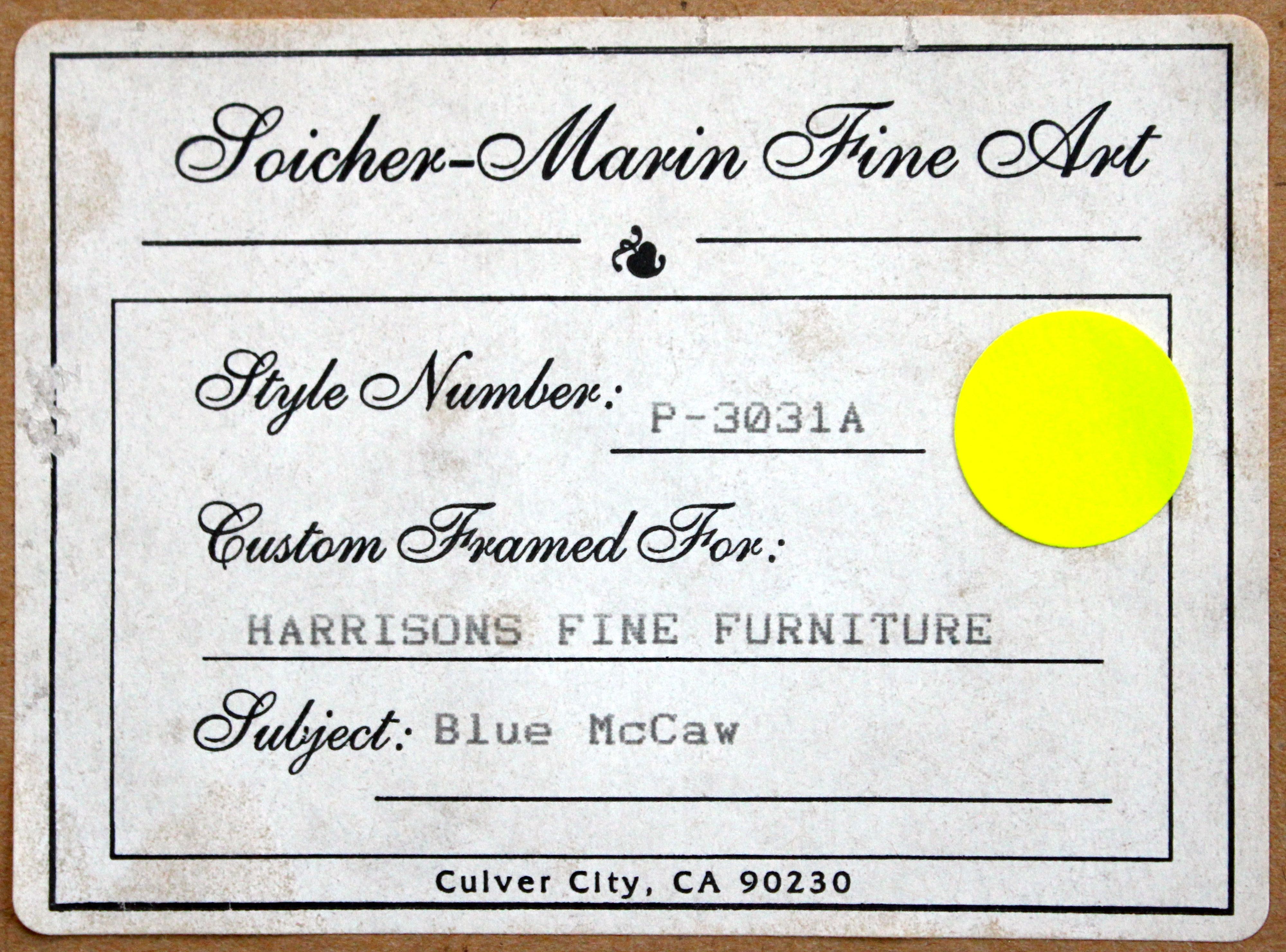 Pair of Framed Parrot Prints