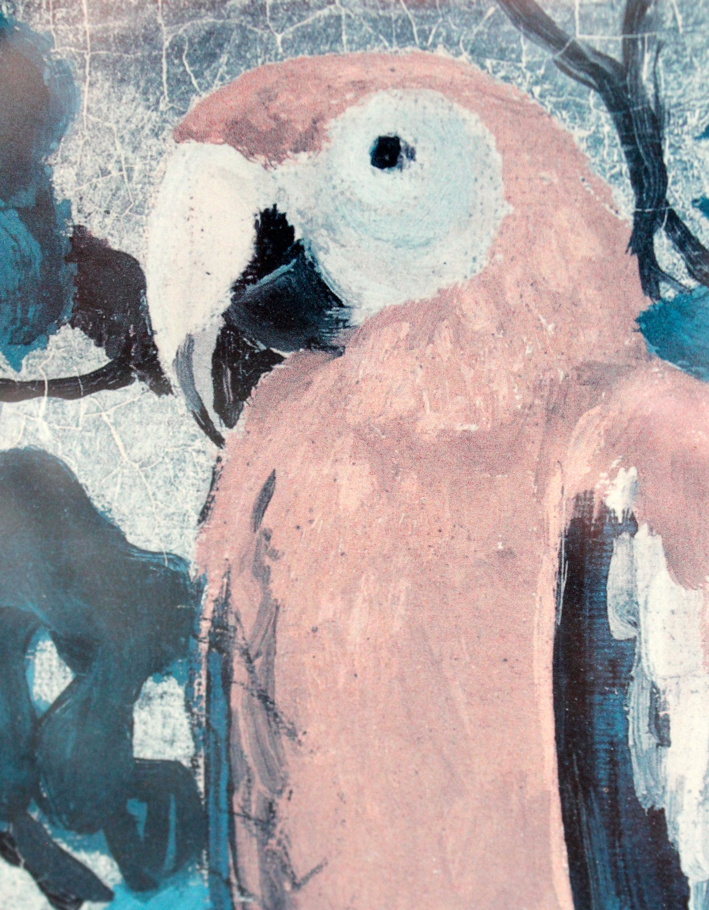 Pair of Framed Parrot Prints