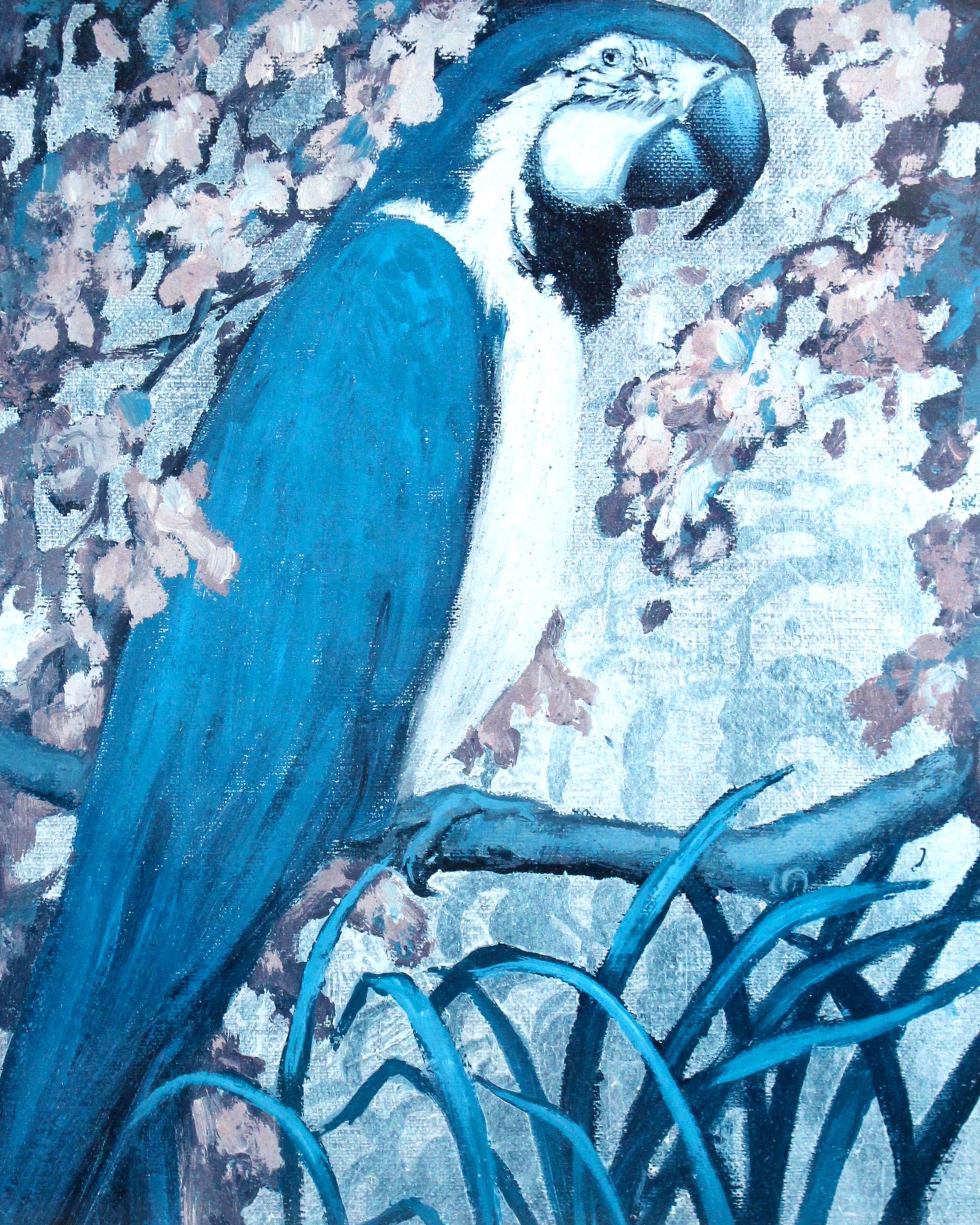 Pair of Framed Parrot Prints