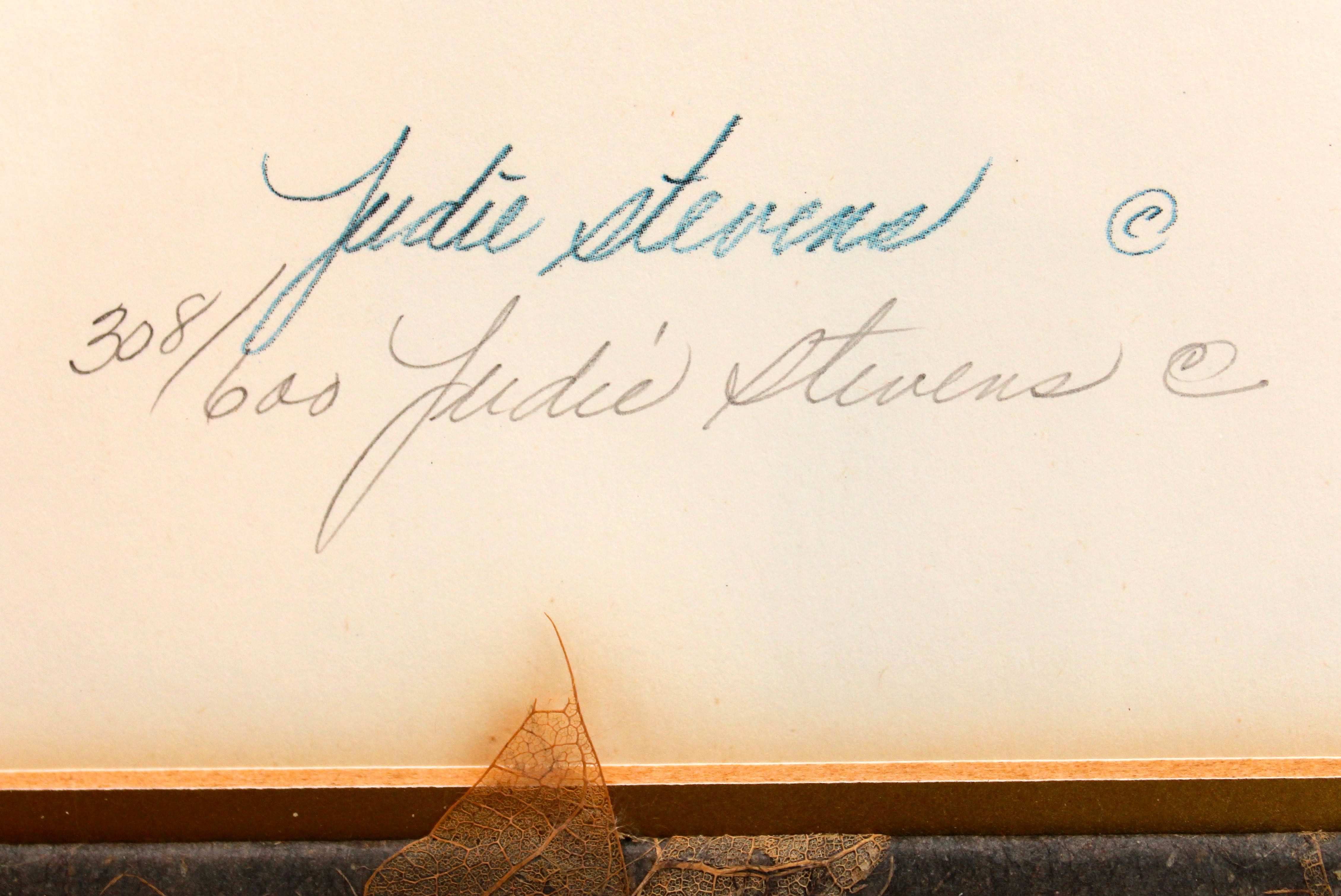 Set of Two Parrot Offset Lithographs by Judie Stevens