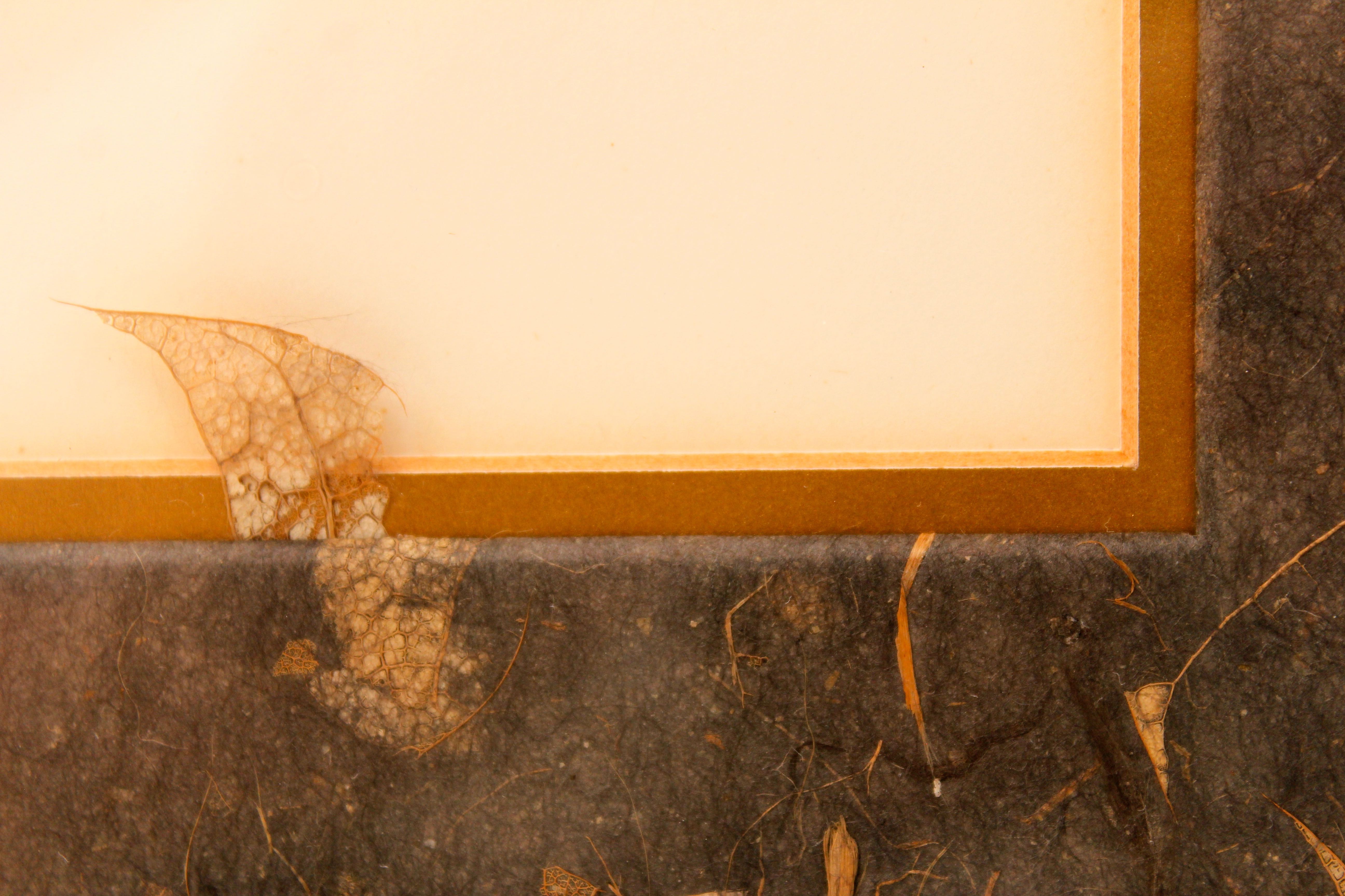 Set of Two Parrot Offset Lithographs by Judie Stevens