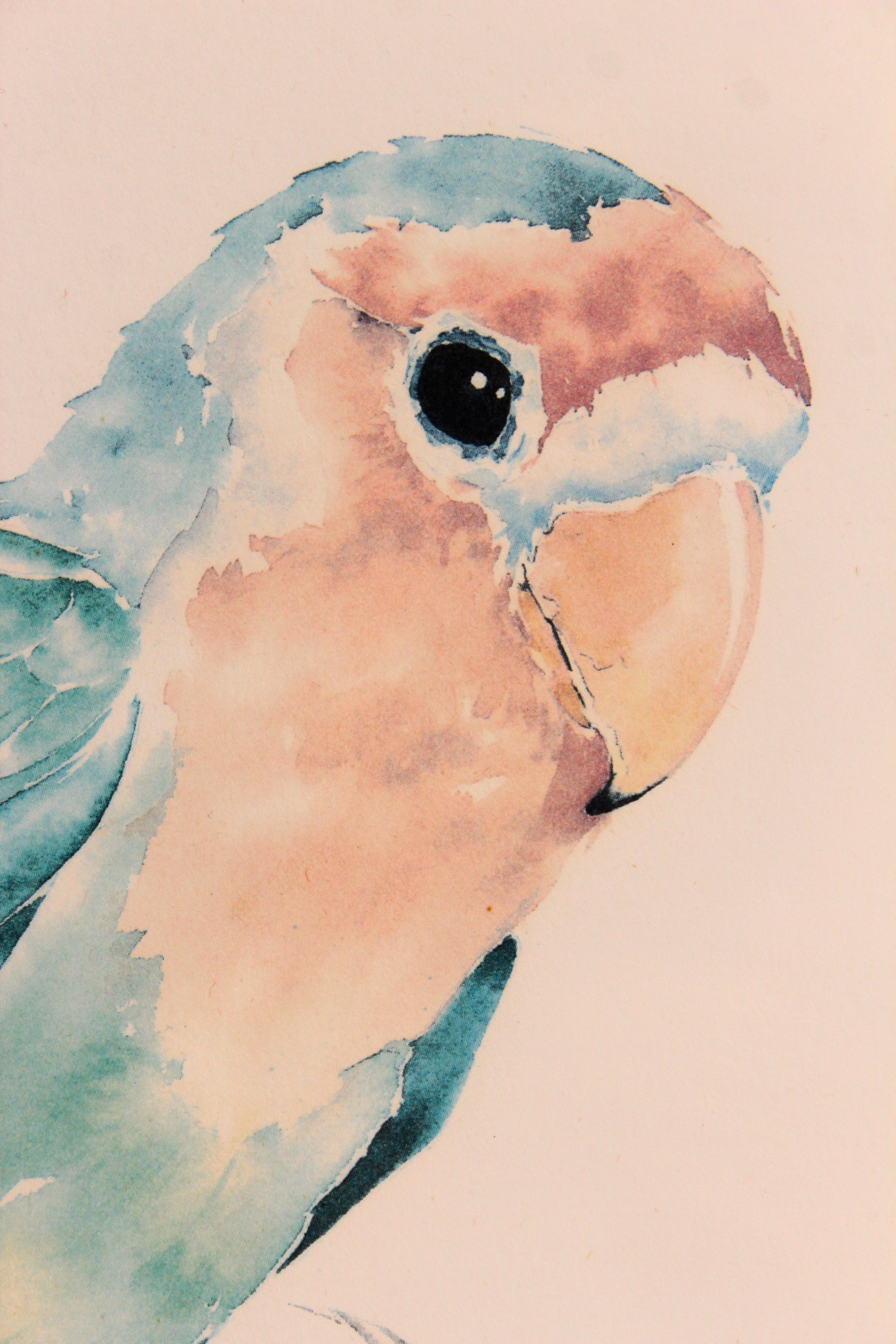 Set of Two Parrot Offset Lithographs by Judie Stevens