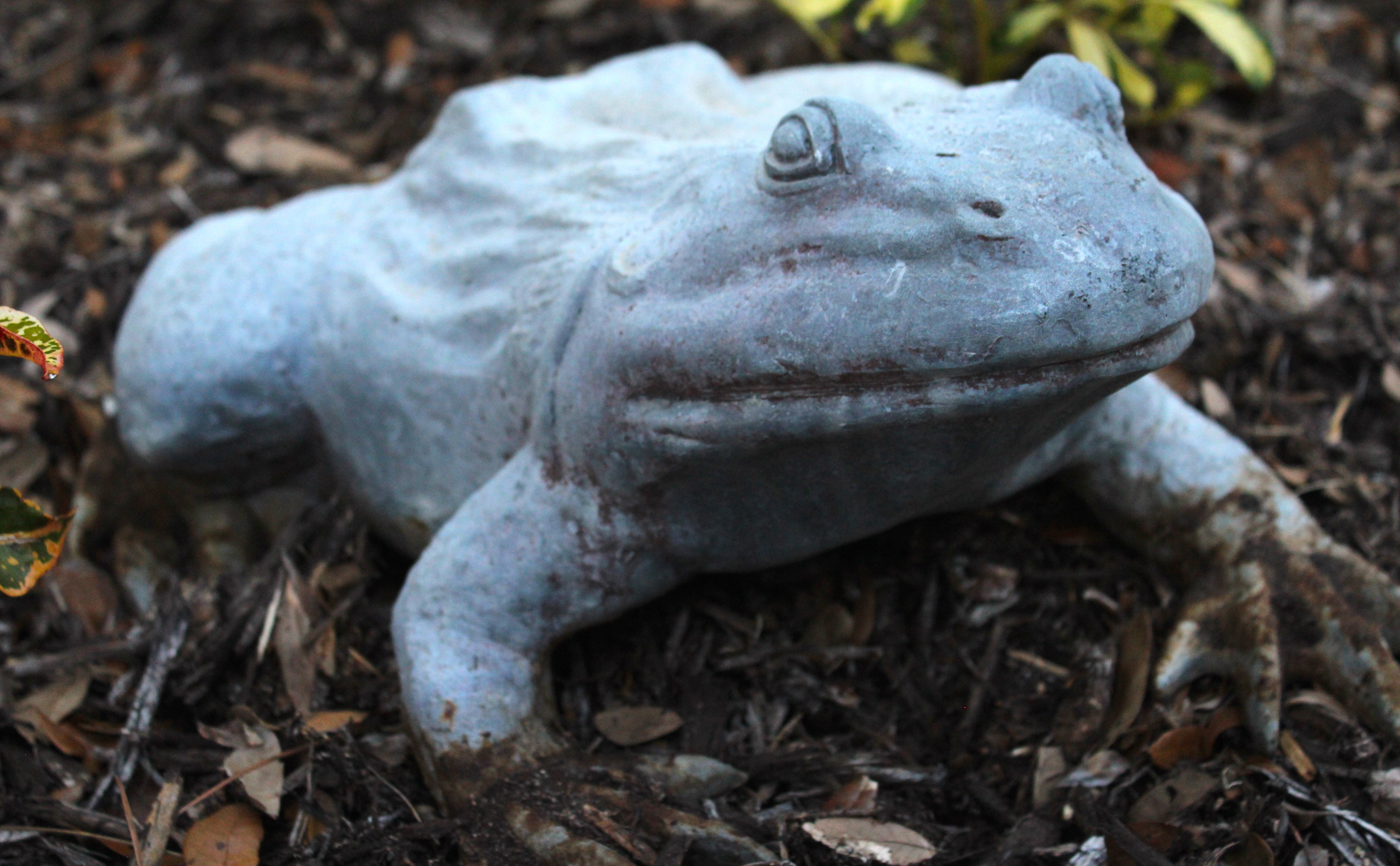 Collection of Outdoor Decor Items