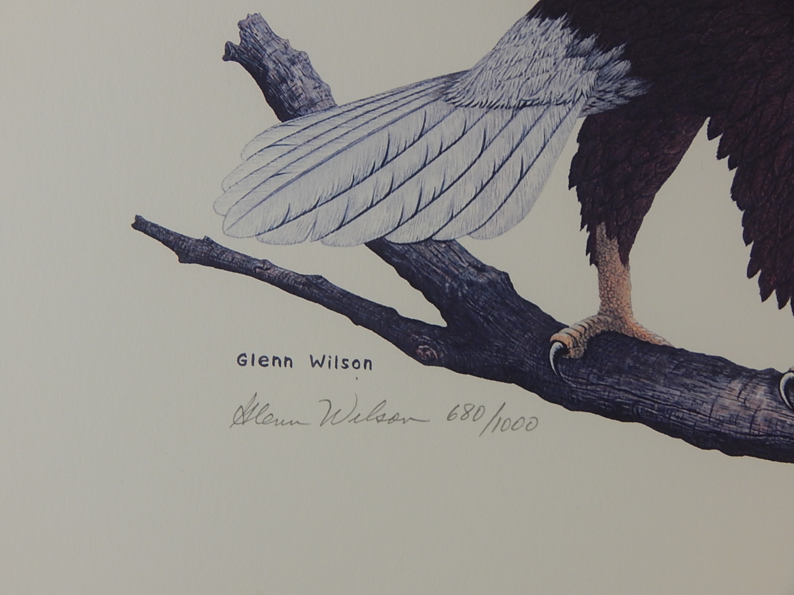 Signed L/E Glenn Wilson 'Bald Eagle' Framed Print